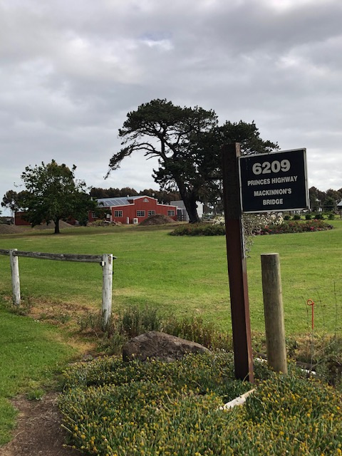 MacKinnon'sBridge veggie patch Camp