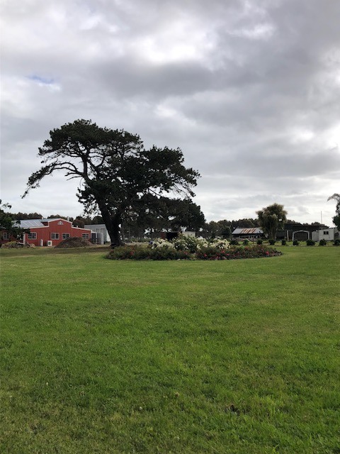 MacKinnon'sBridge veggie patch Camp