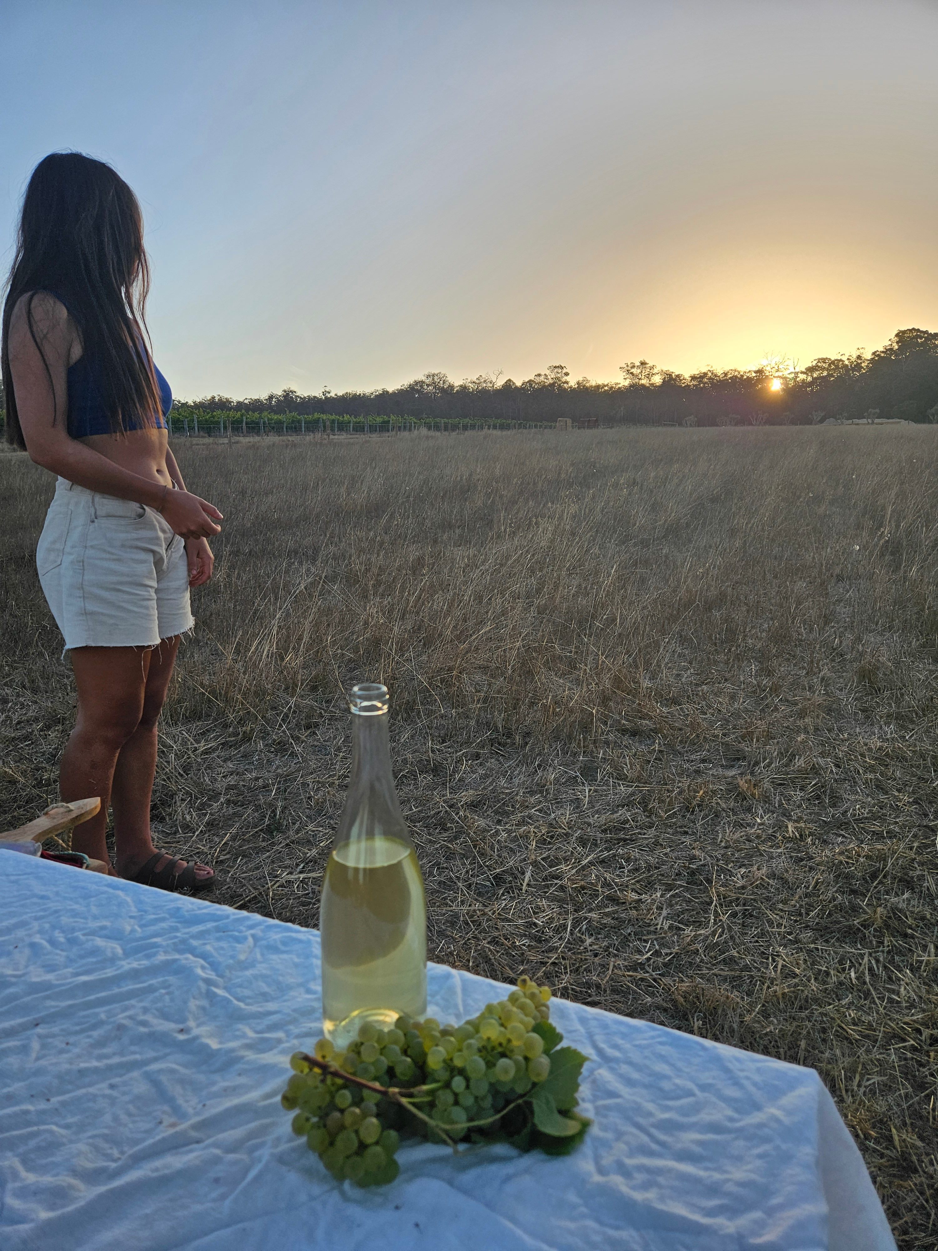 Margaret River - Rosa Glen Farm