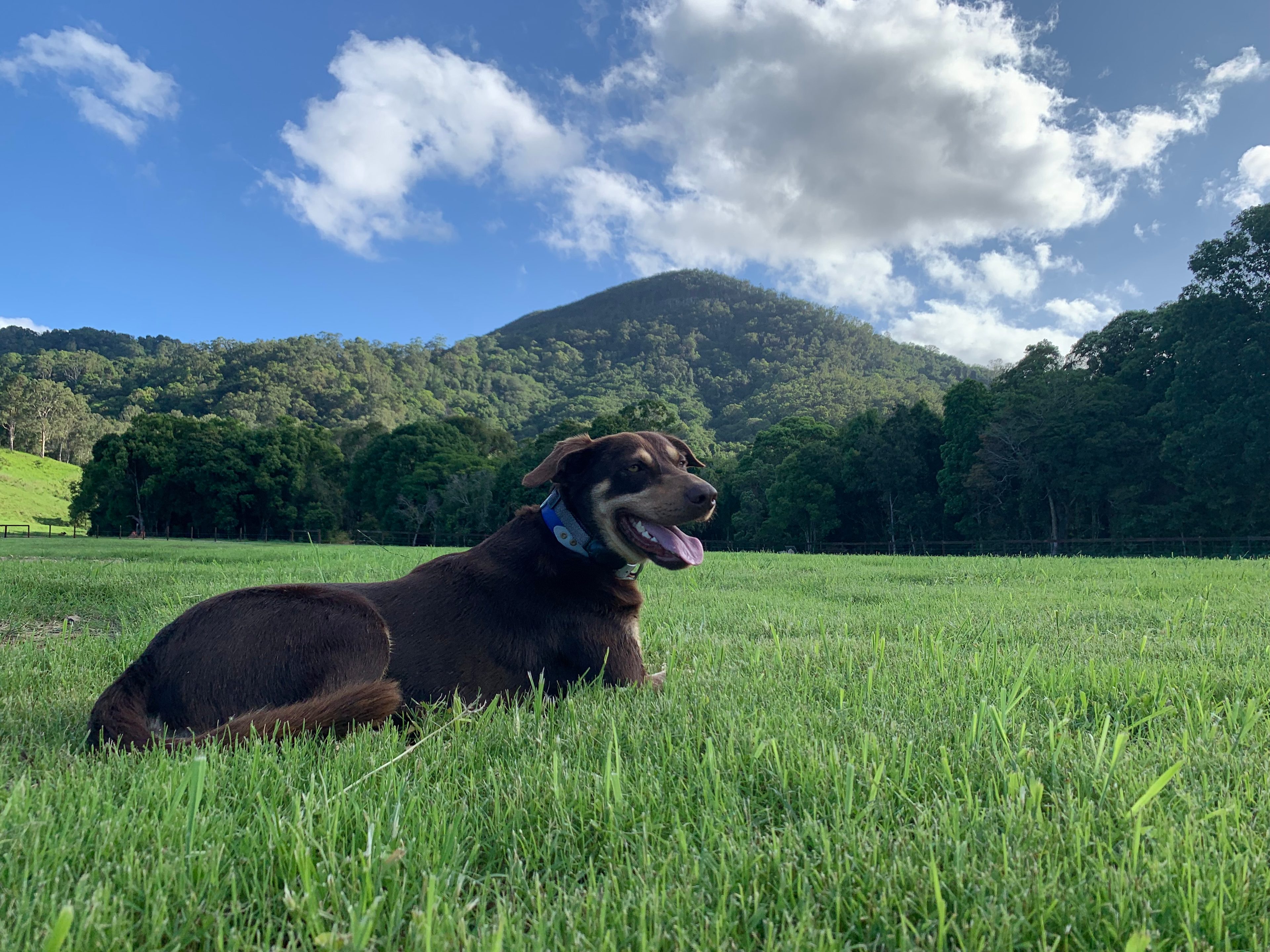 Eerwah Vale Estate Noosa
