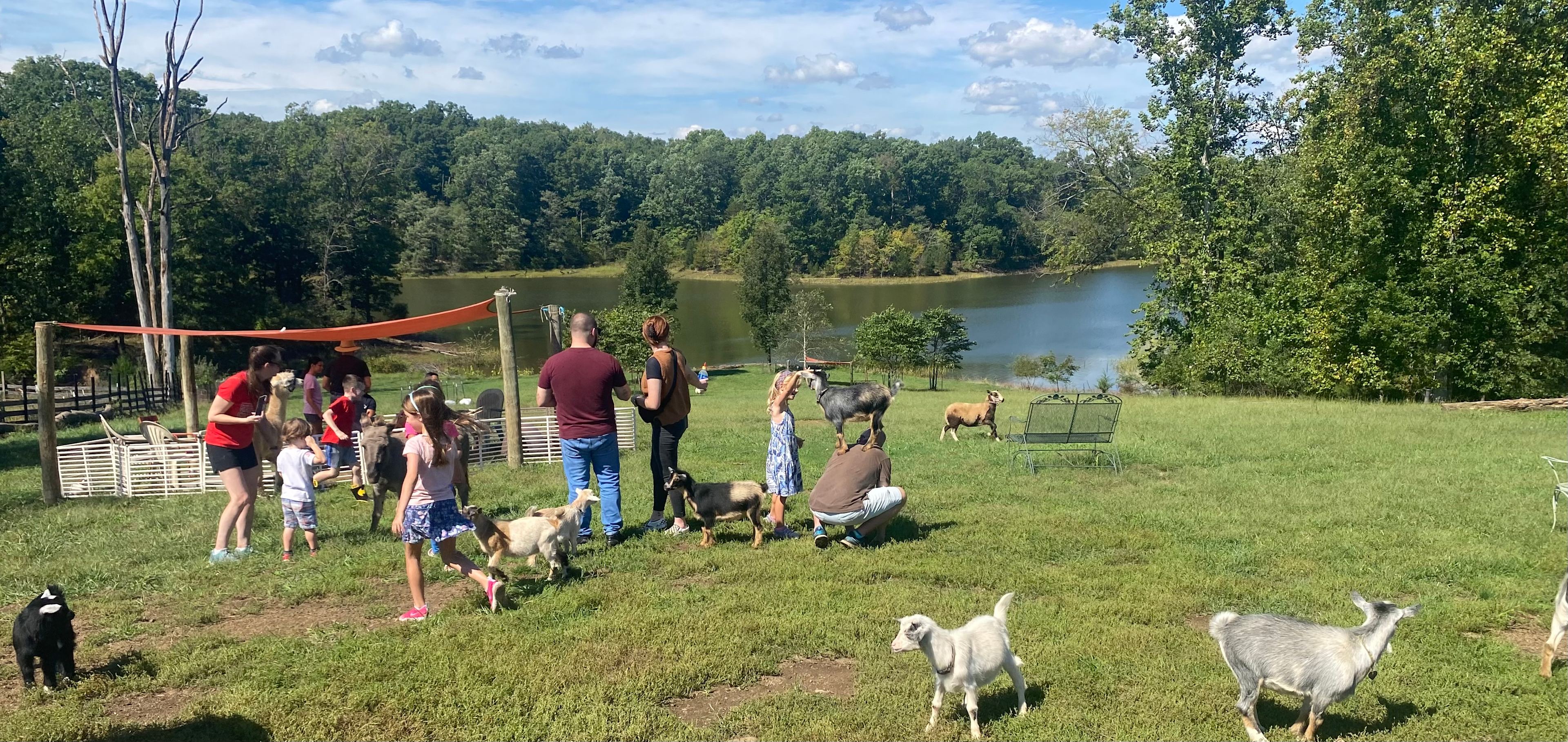 Little Goat Farm at the Lake