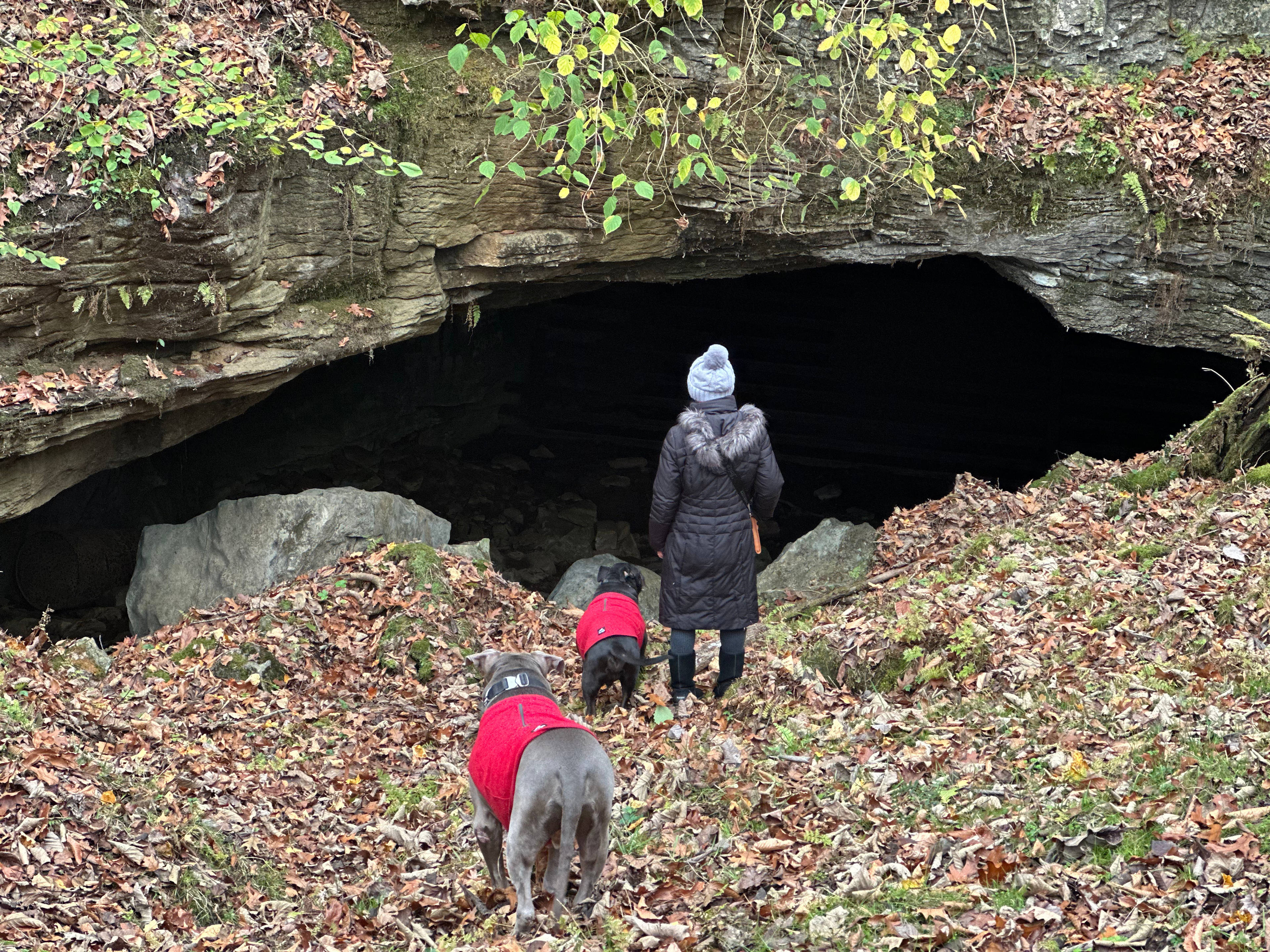 MountainView Rock island  Campsite