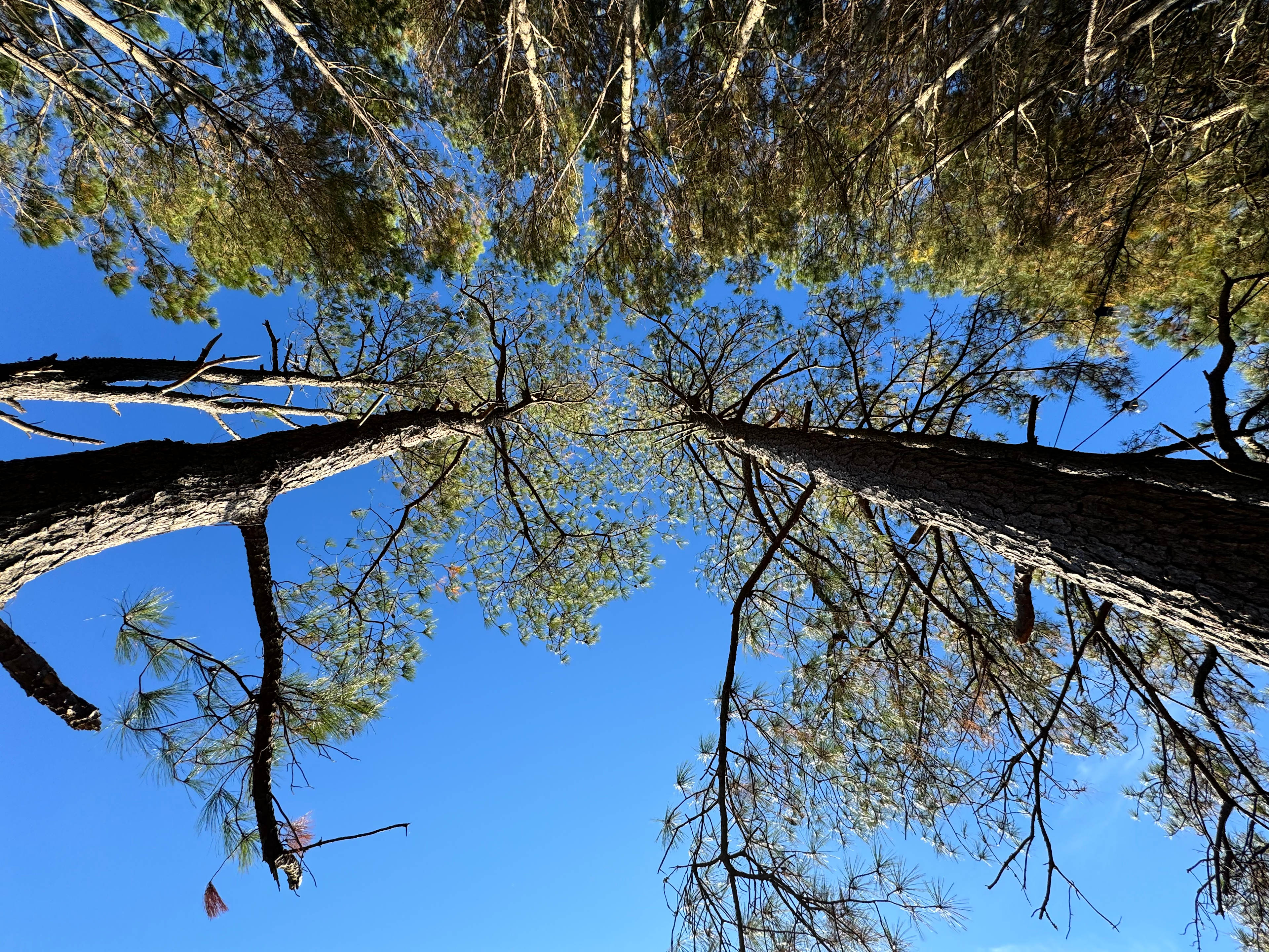 MARSH DUCK WAY CONSERVATION CAMP