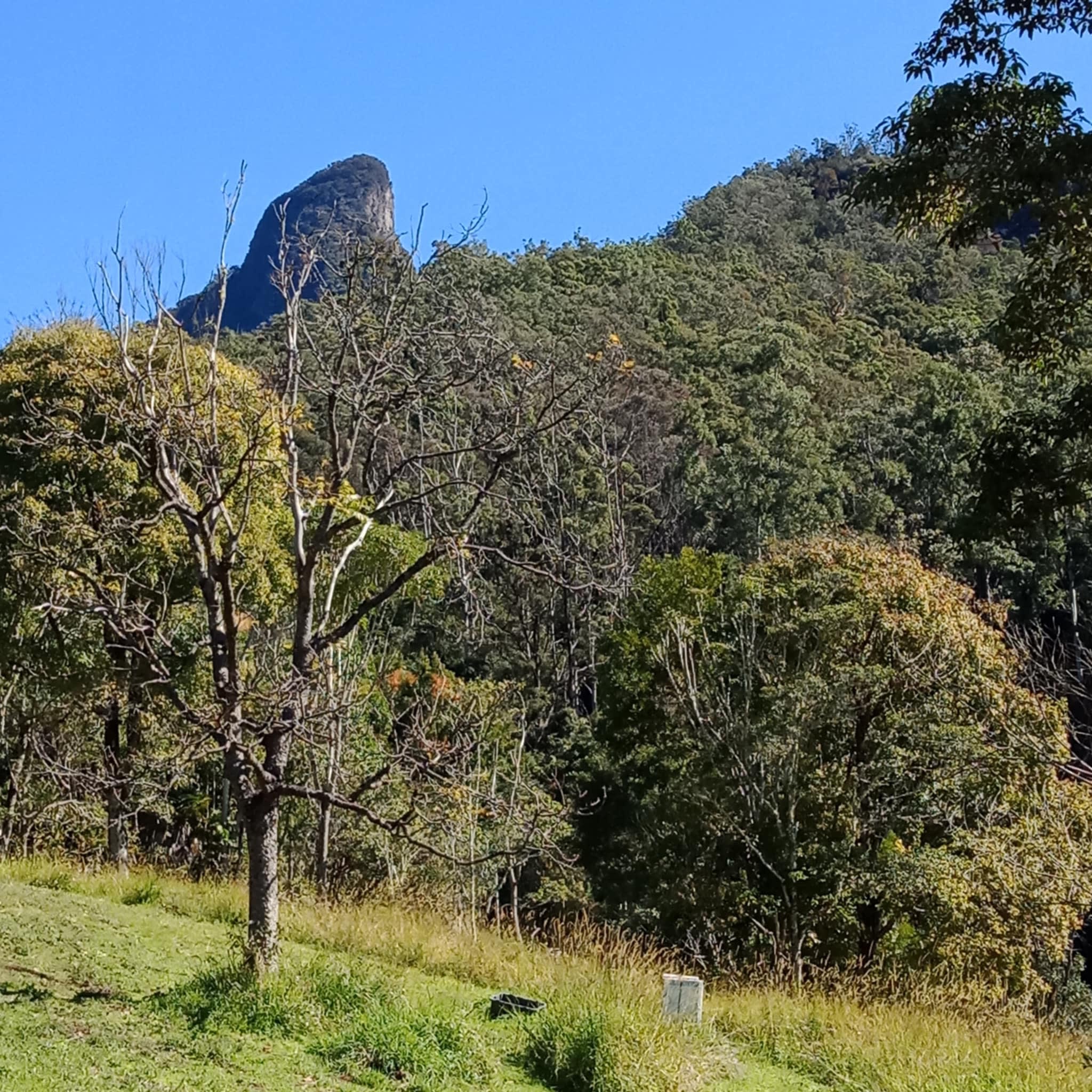 Magic of Mount Warning
