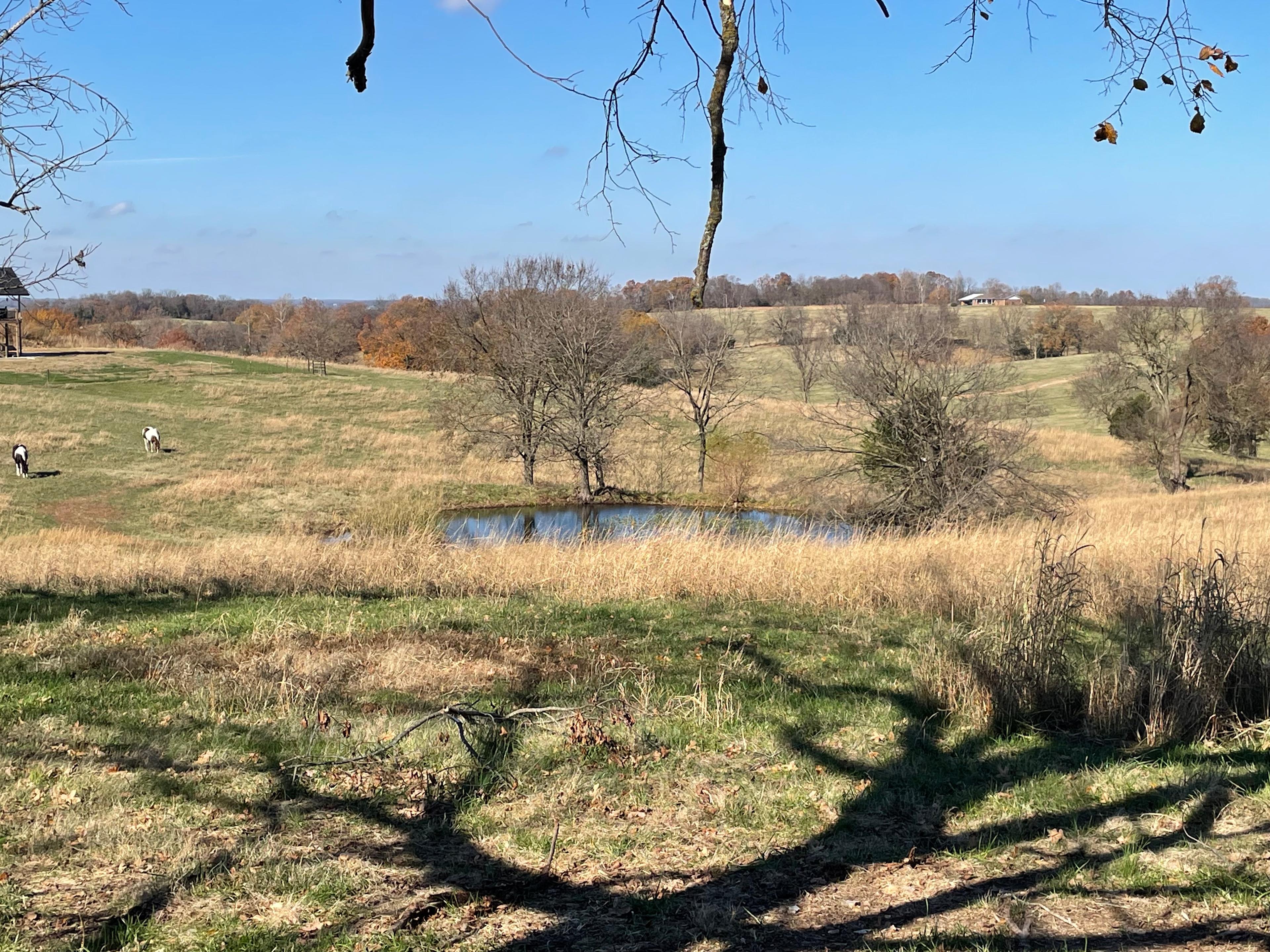 Denver Acres