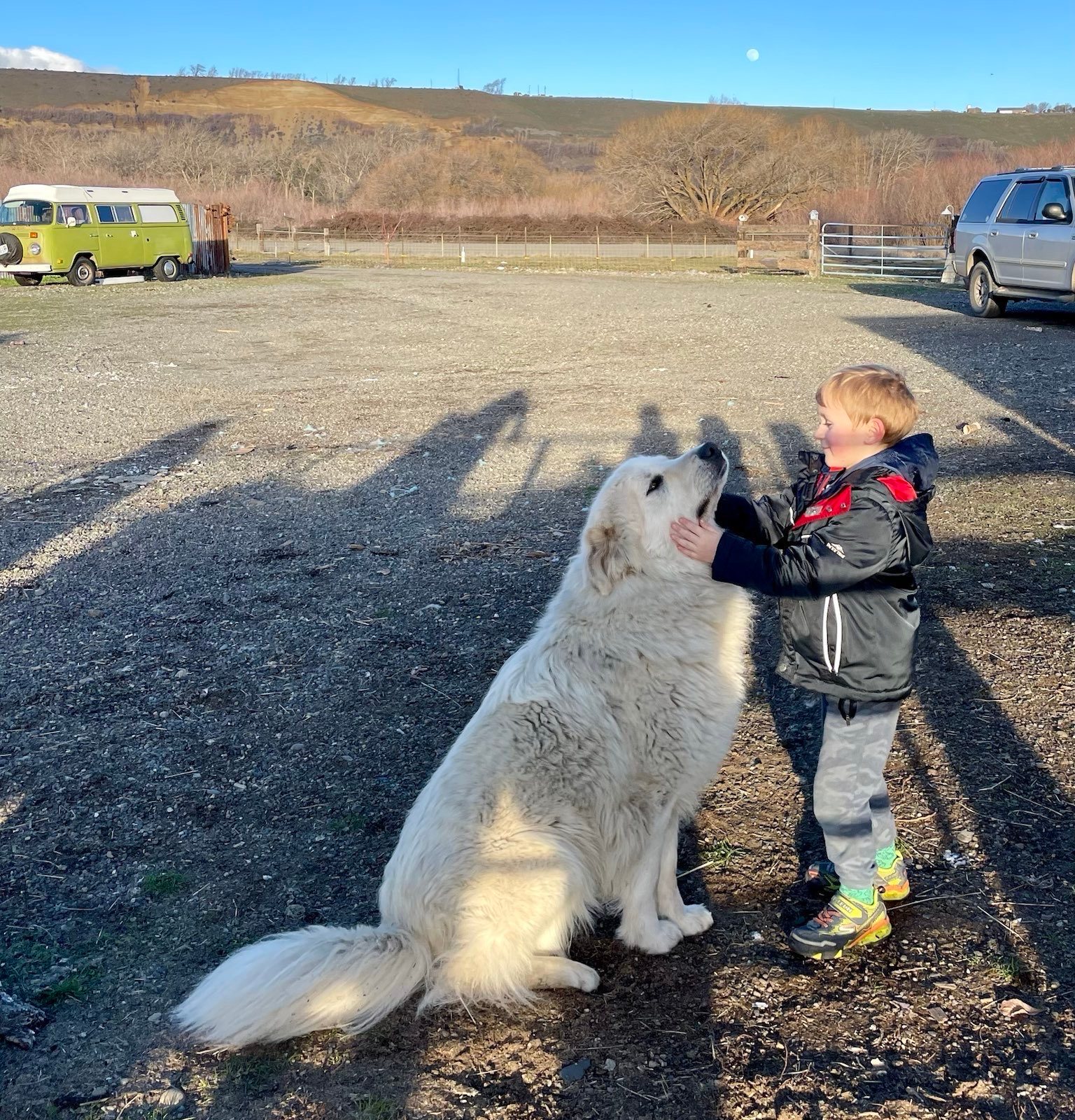 Windy Basin Ranch Camp
