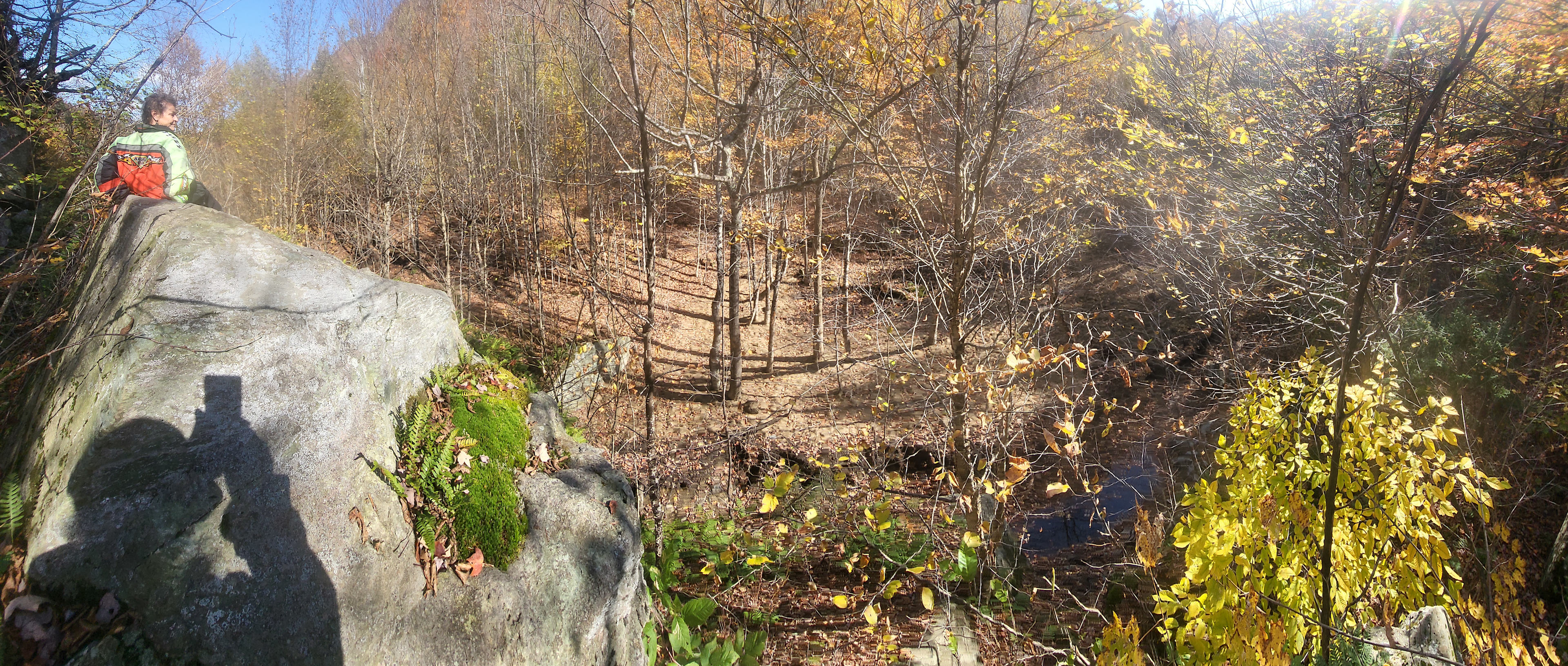 Awesome Campsite - $20