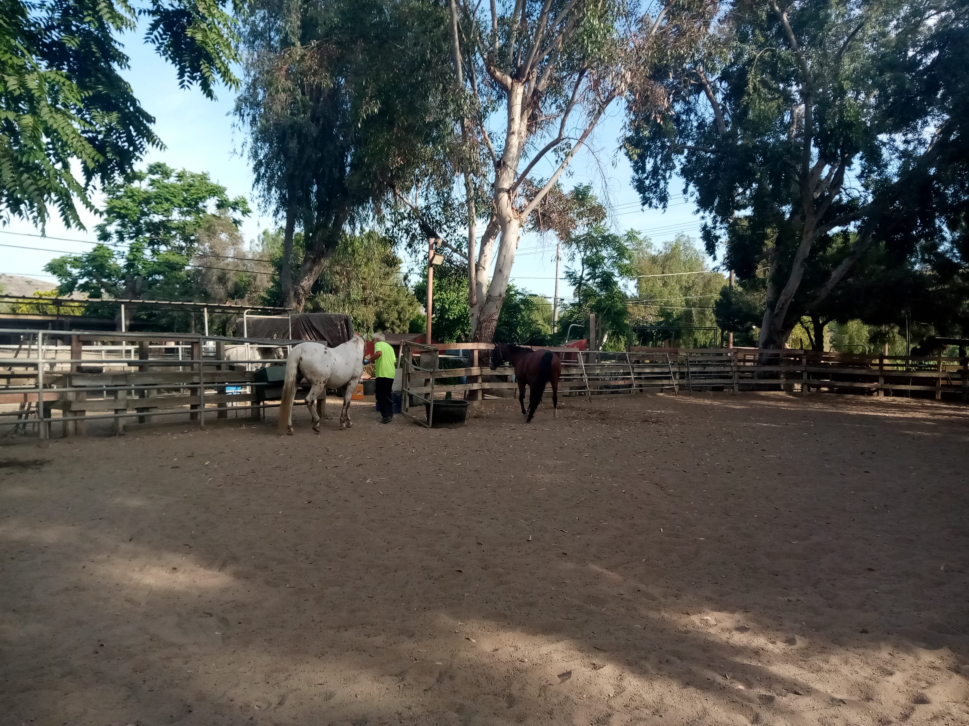 Horse Ranch RV  Spot