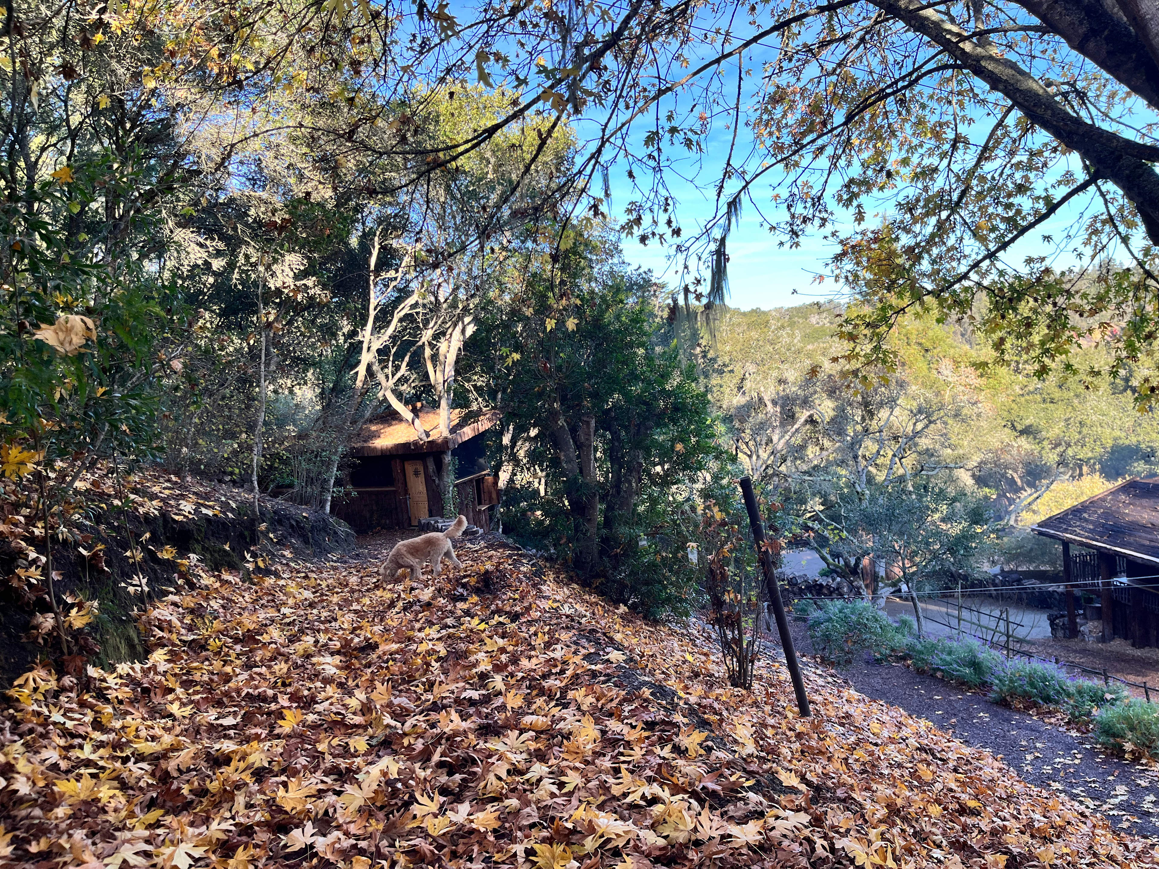 The Secret Gardens by the Bay