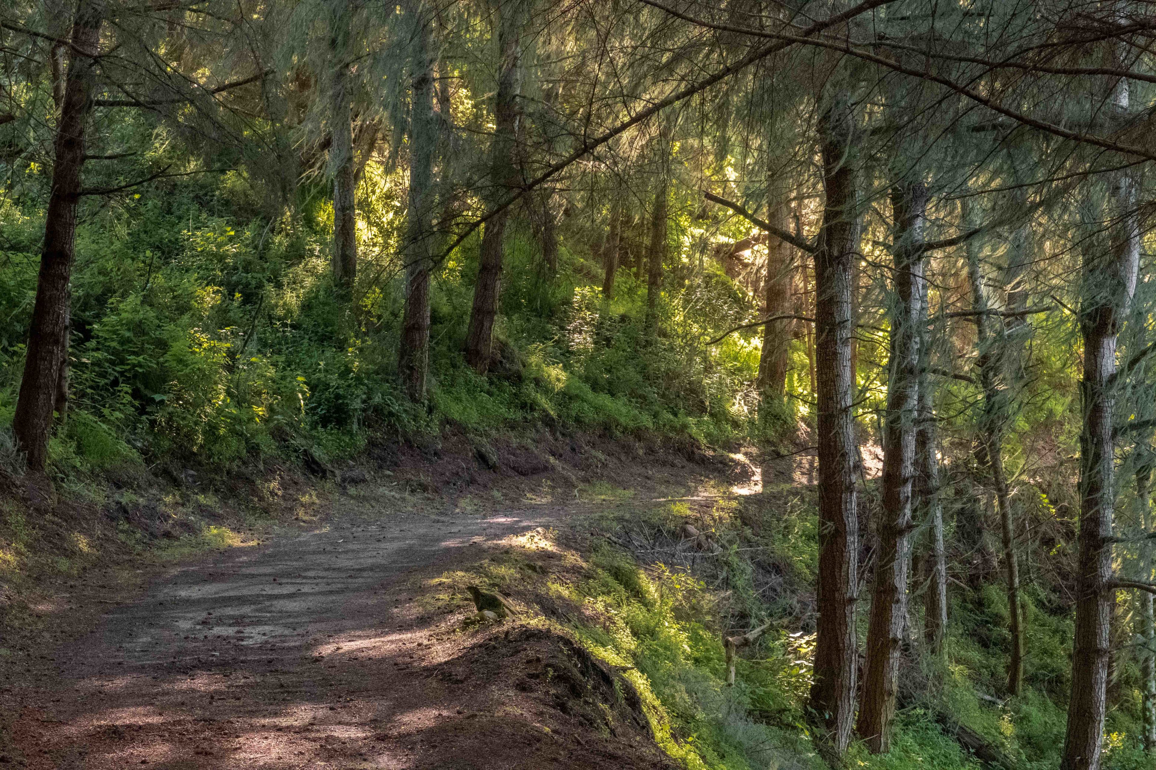 Private 4 mile hiking trail 