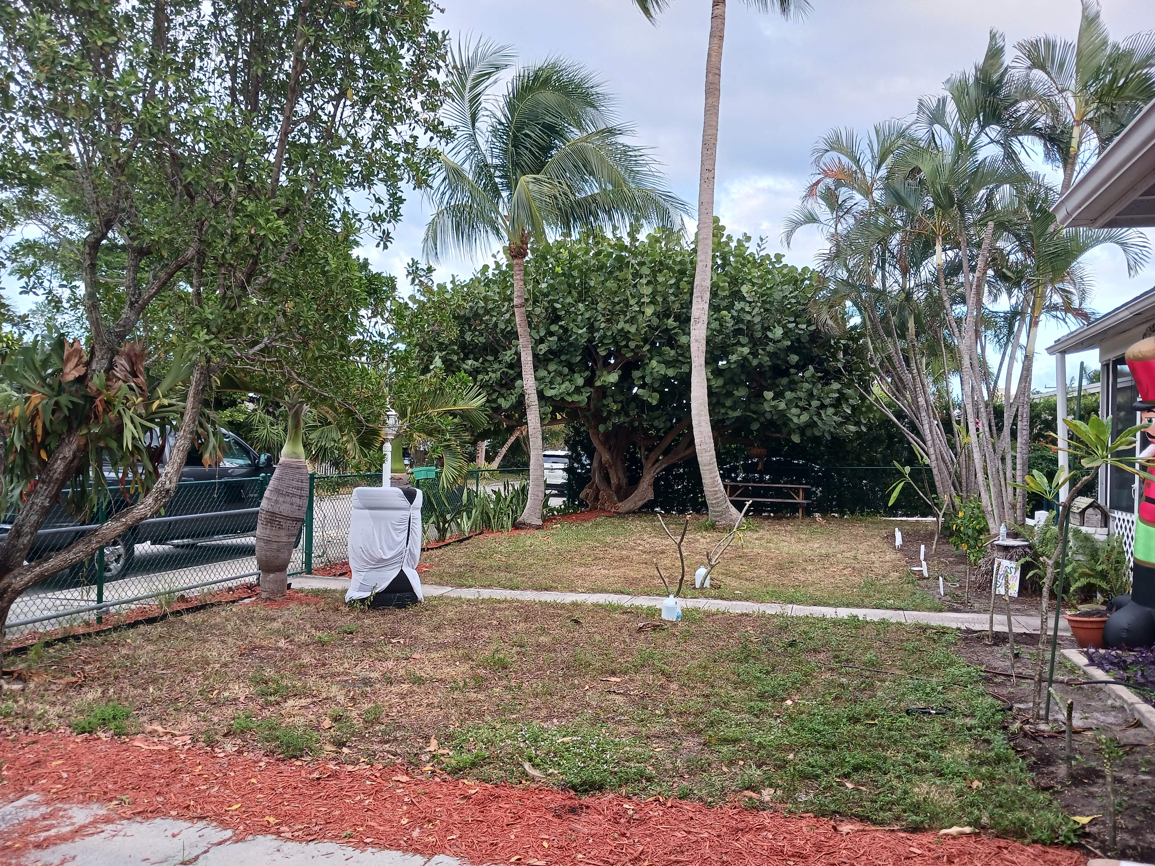 Pool, Ocean And Downtown