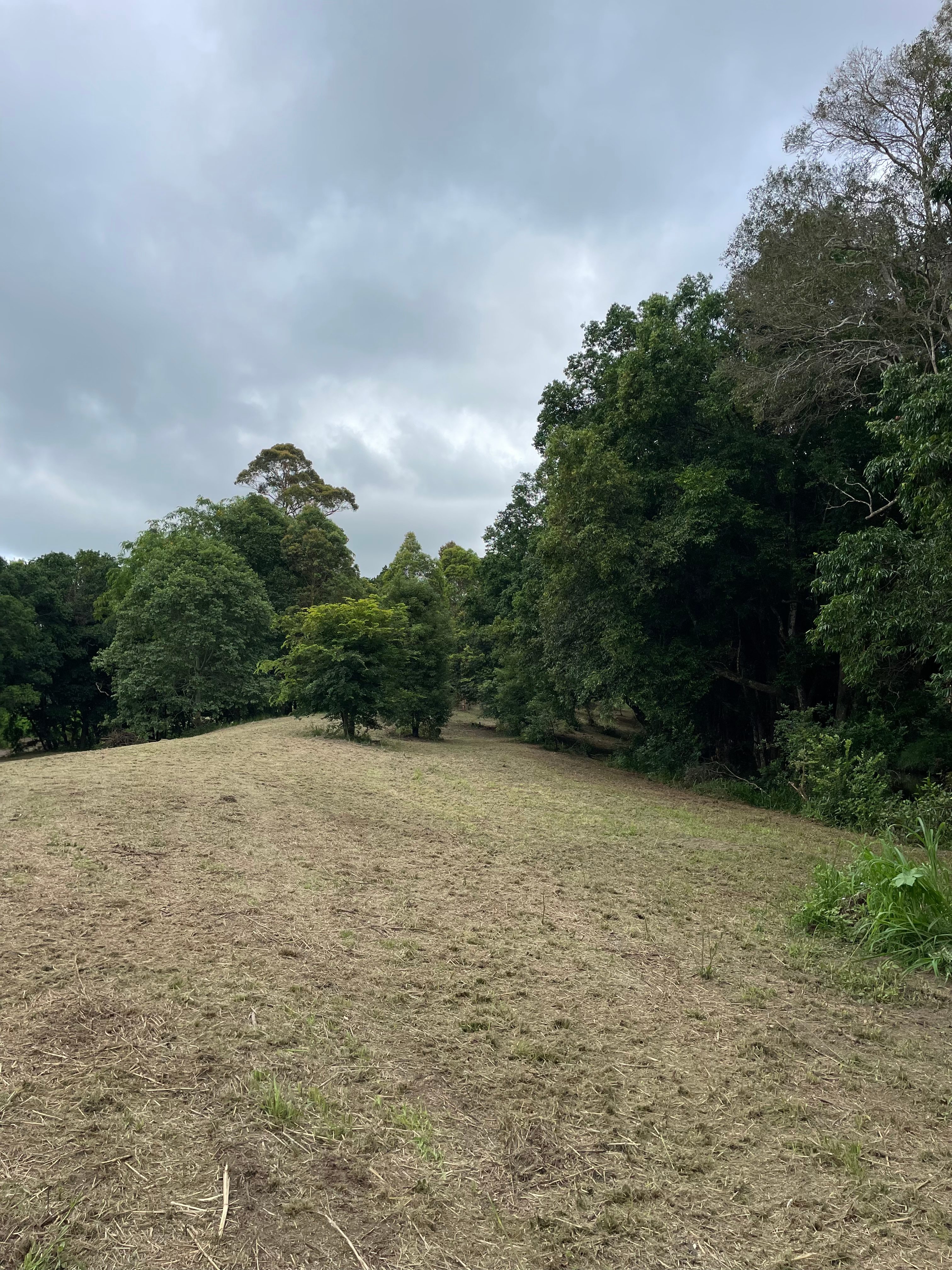 Samford Mini Farm & Creek Camping
