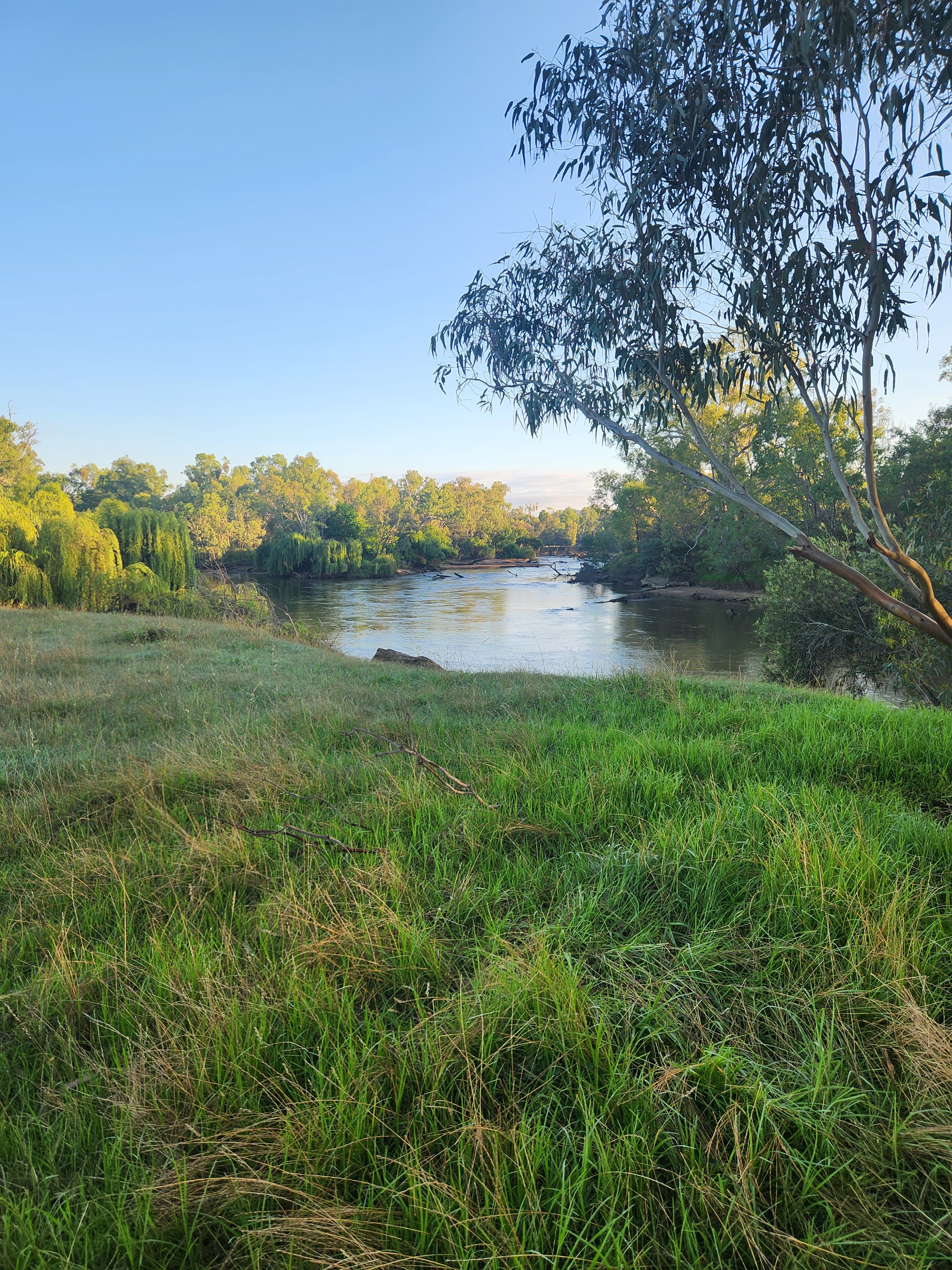 Willowbank on the Murray