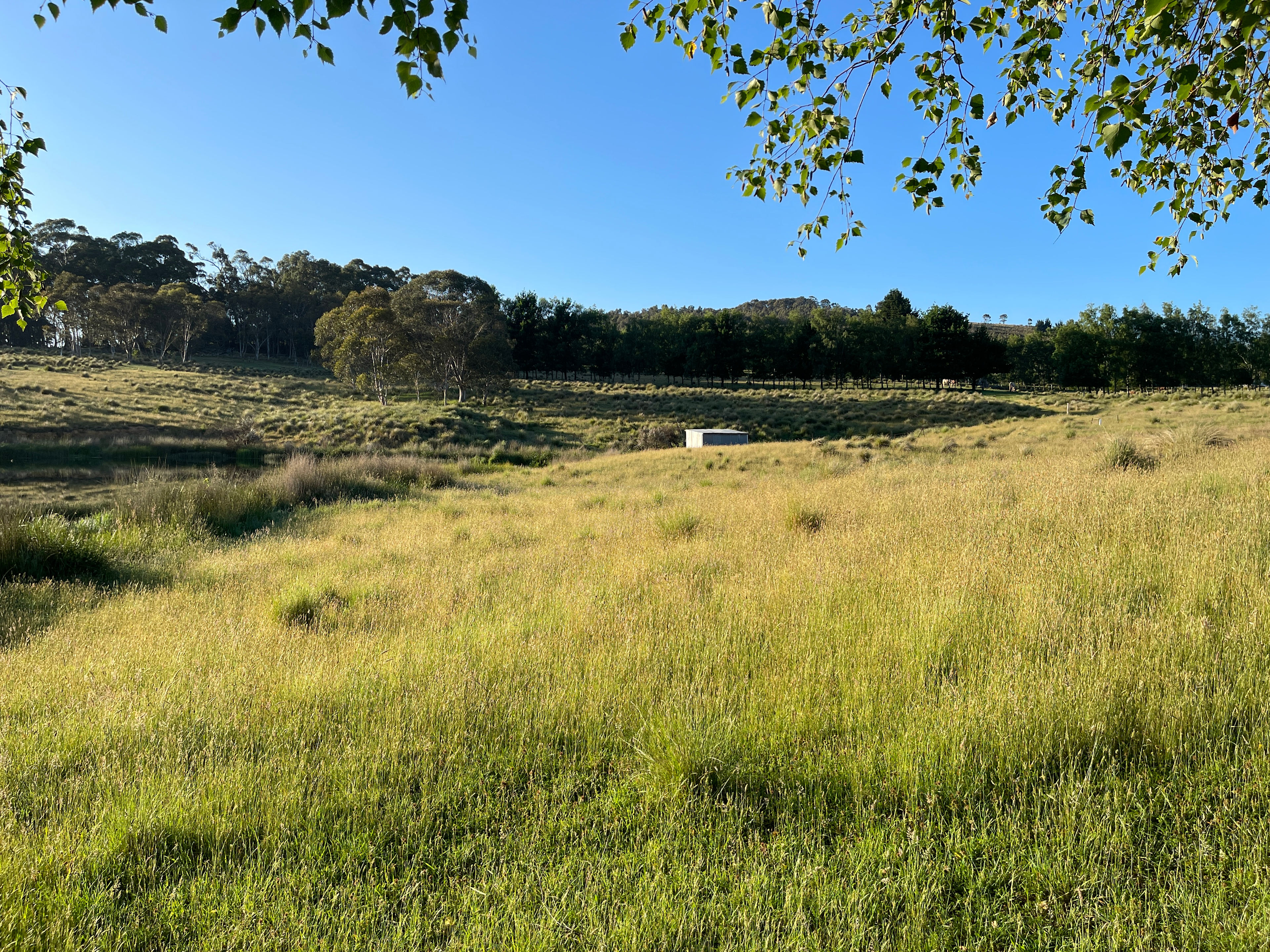 West side of the dam looking toward the South.