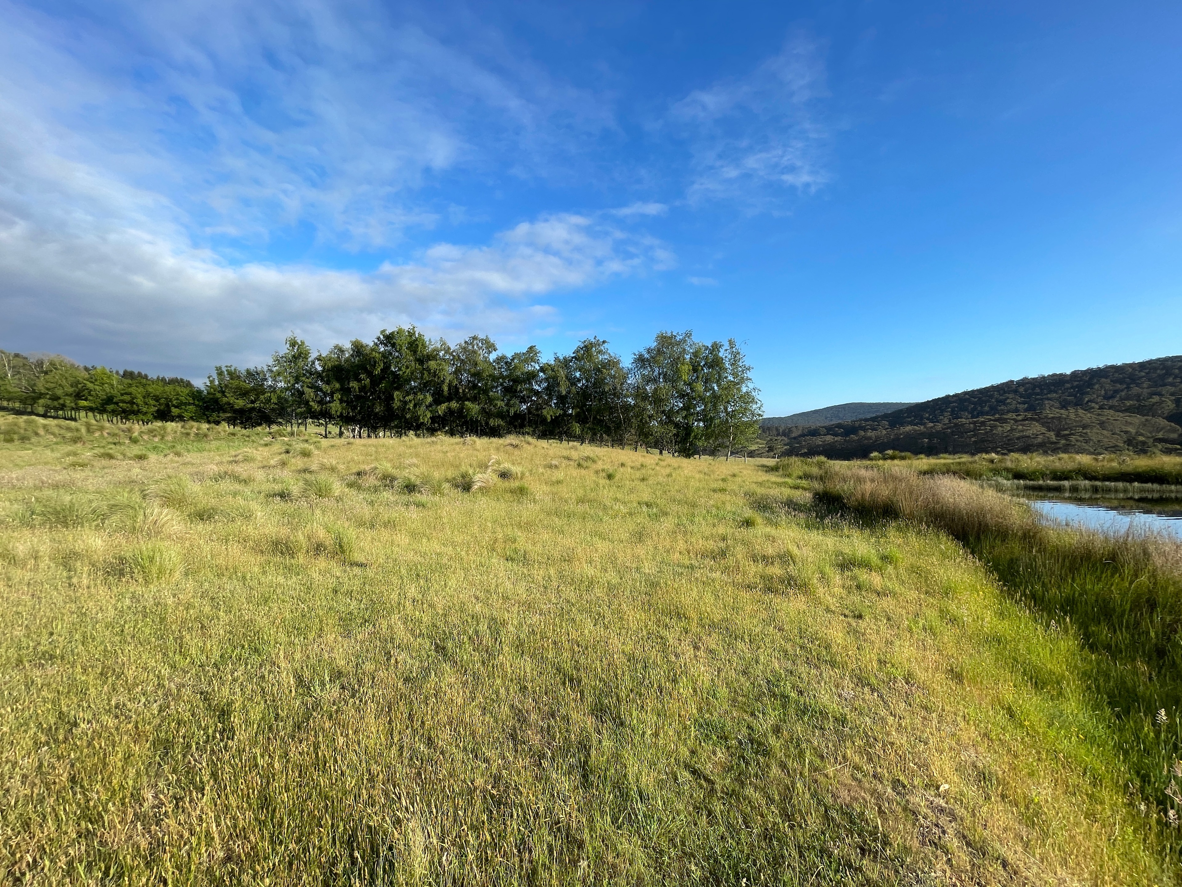 West side of the dam looking North.