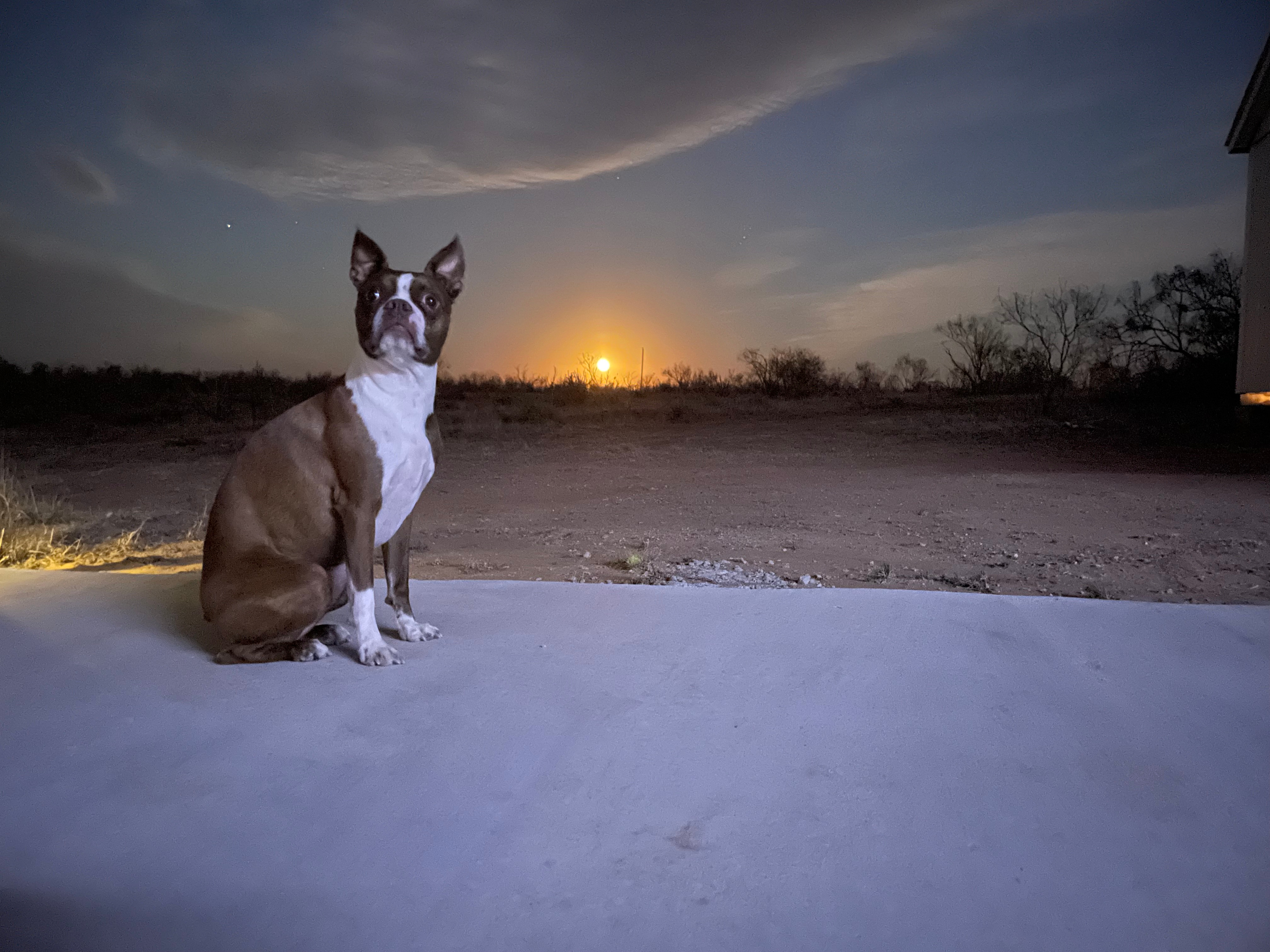 Valle de Oro RV Pad at LVE Ranch