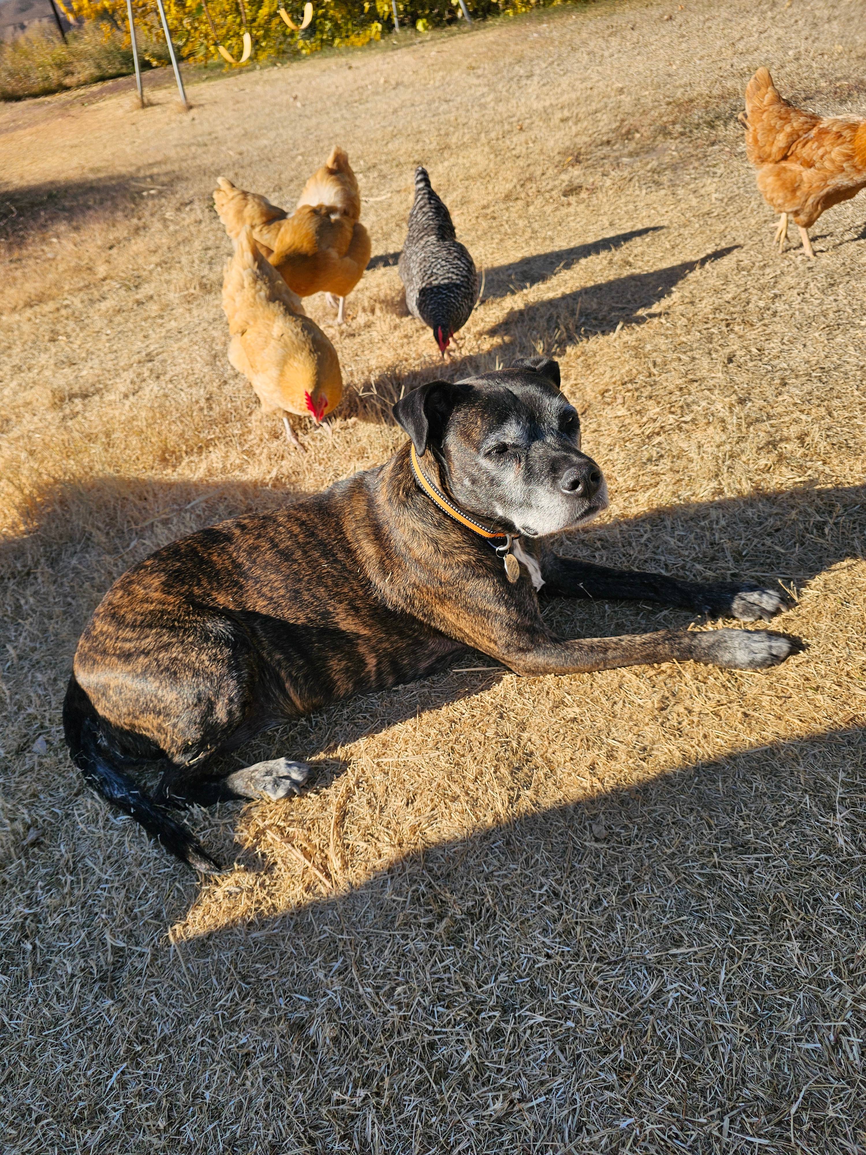 Desert Paradise with Mountain Views