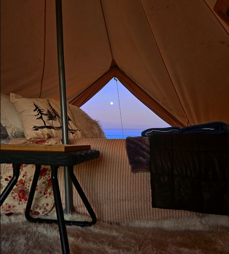 FMF Blank Canvas Campground