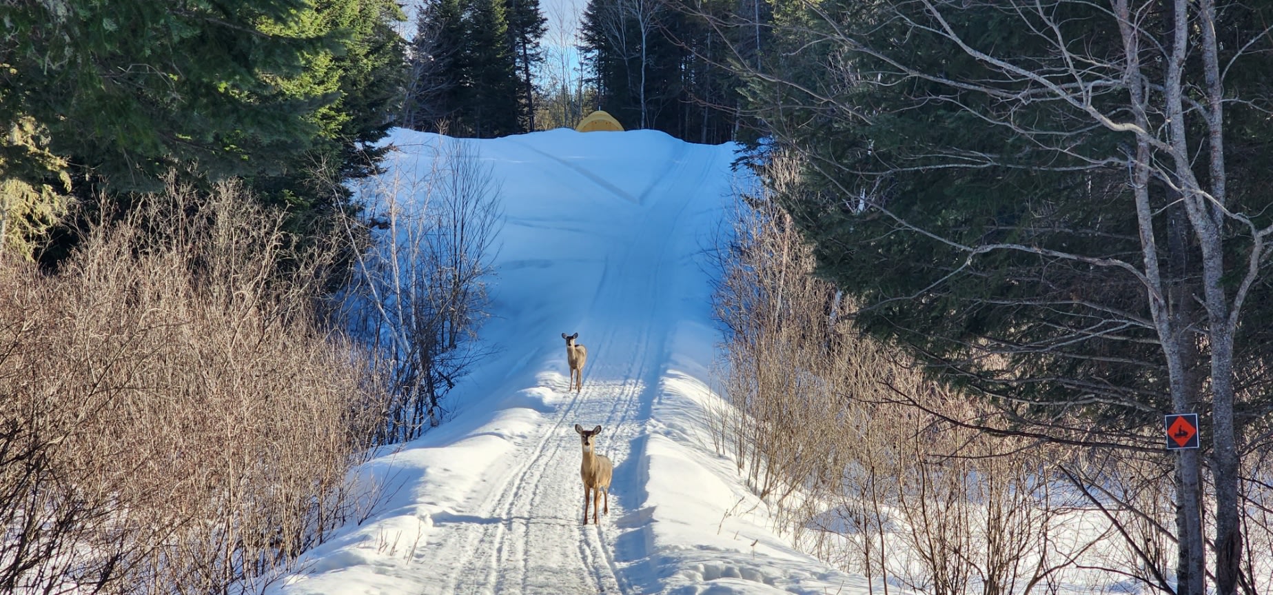 Allagash Destinations Cabin & Tent