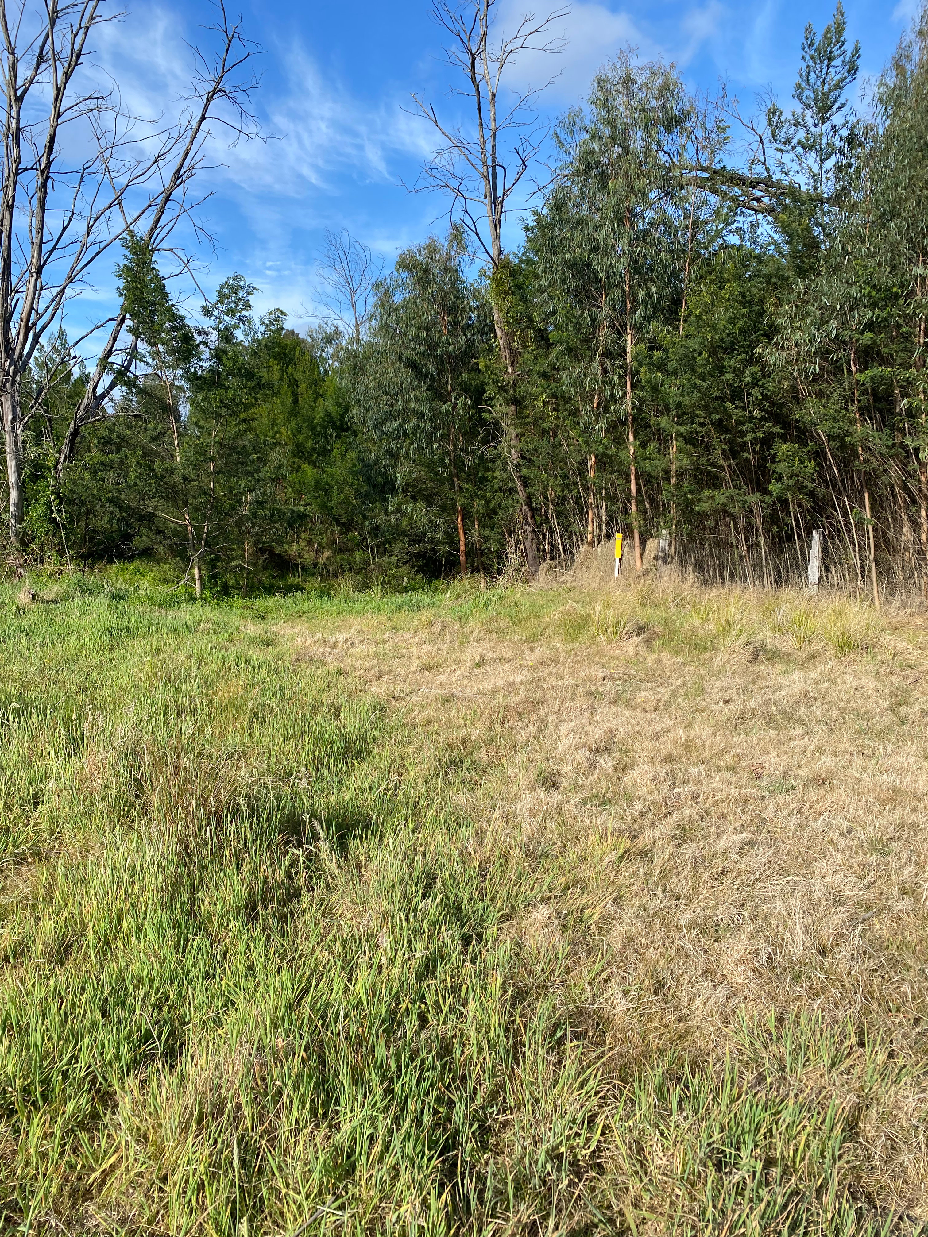 Little Paddocks Mogo