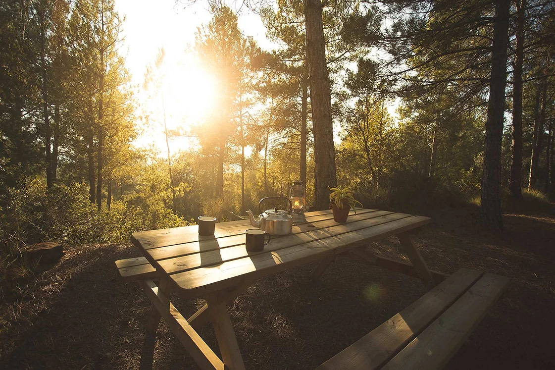 Forest Days Wild Camp