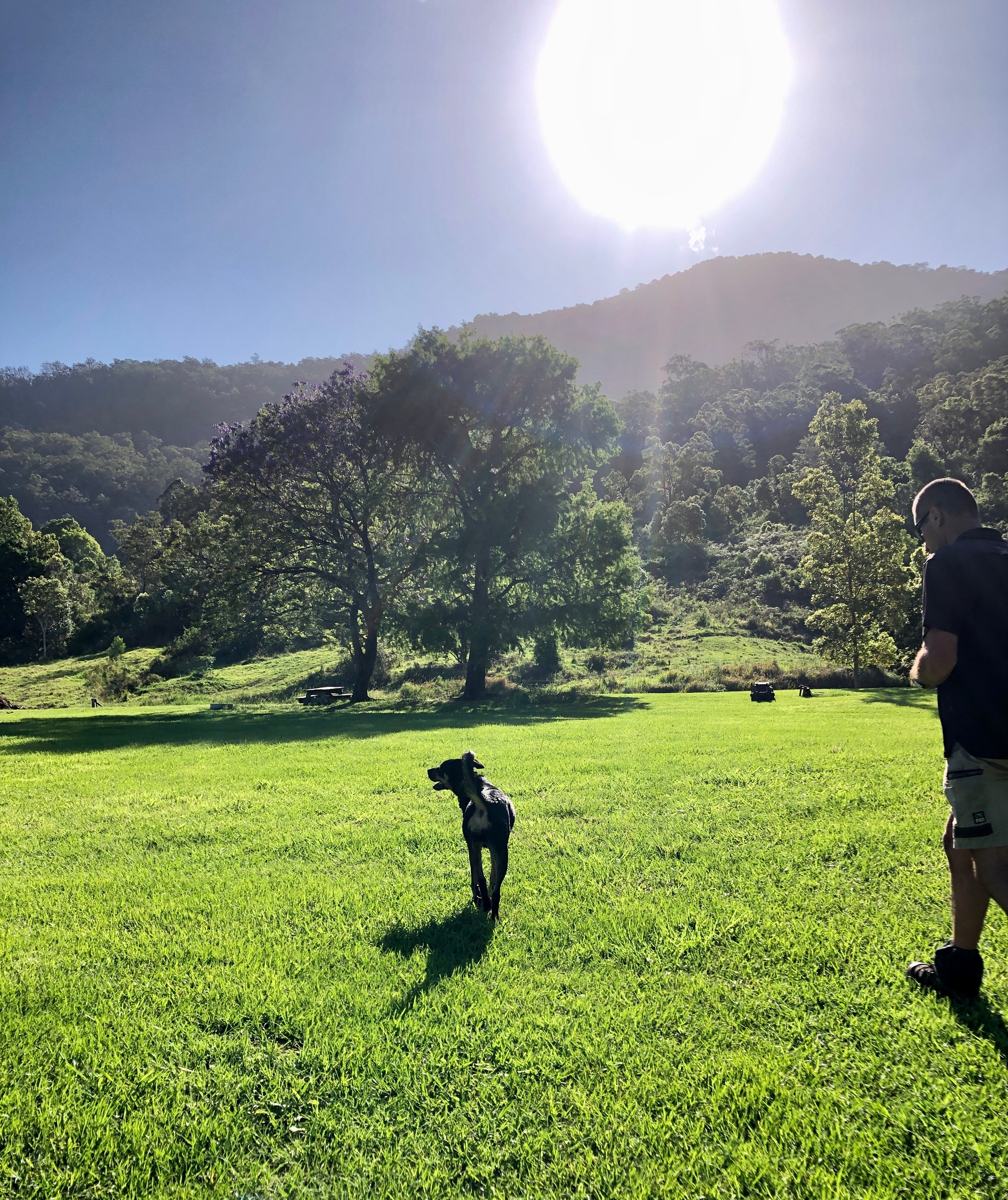 Camp sites are pet friendly. As we are a working farm, we ask that you please keep dogs on leads.
Our dog Chilli is looking forward to welcome you!
