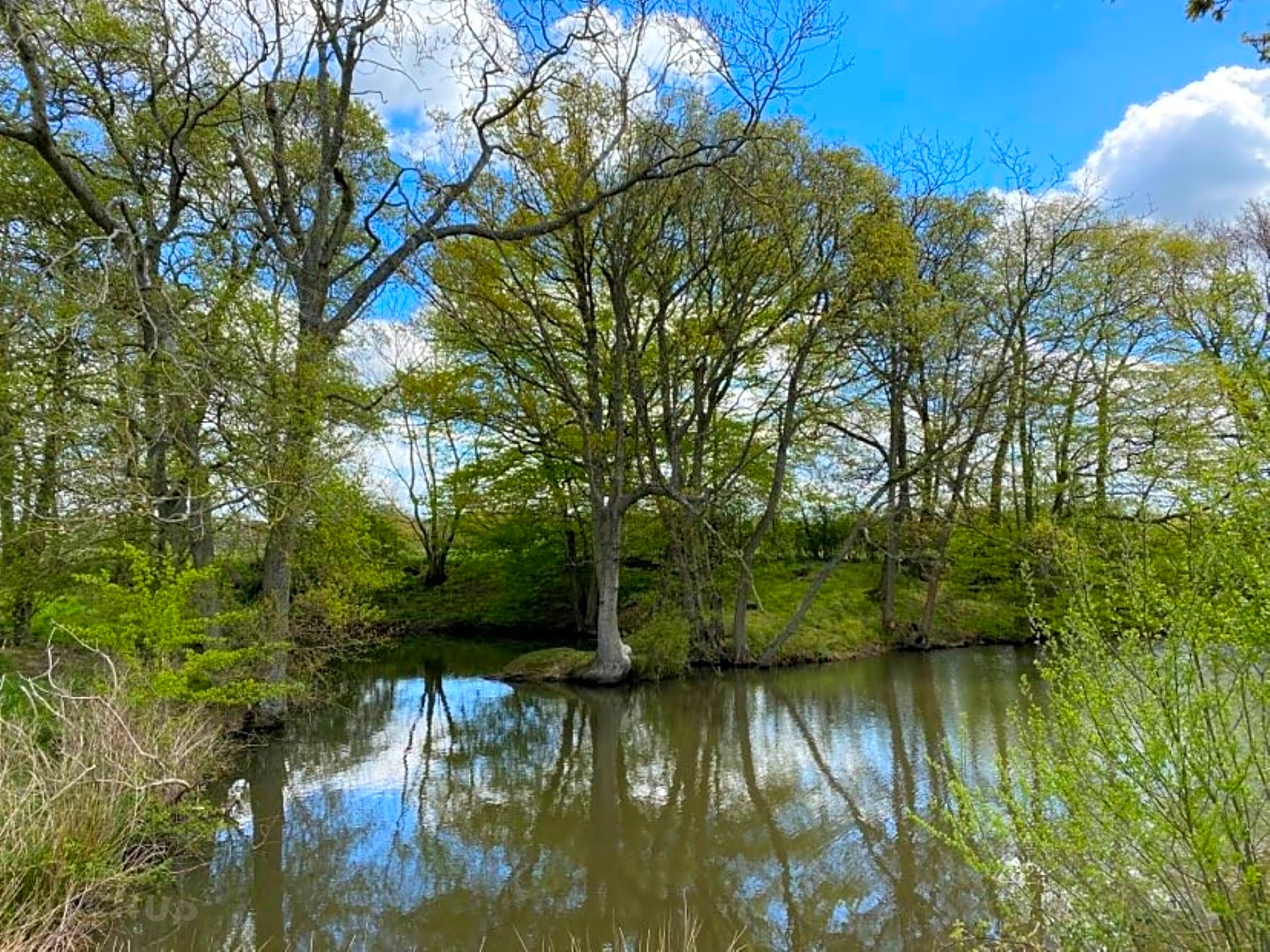 Setts Wood Camping and Glamping
