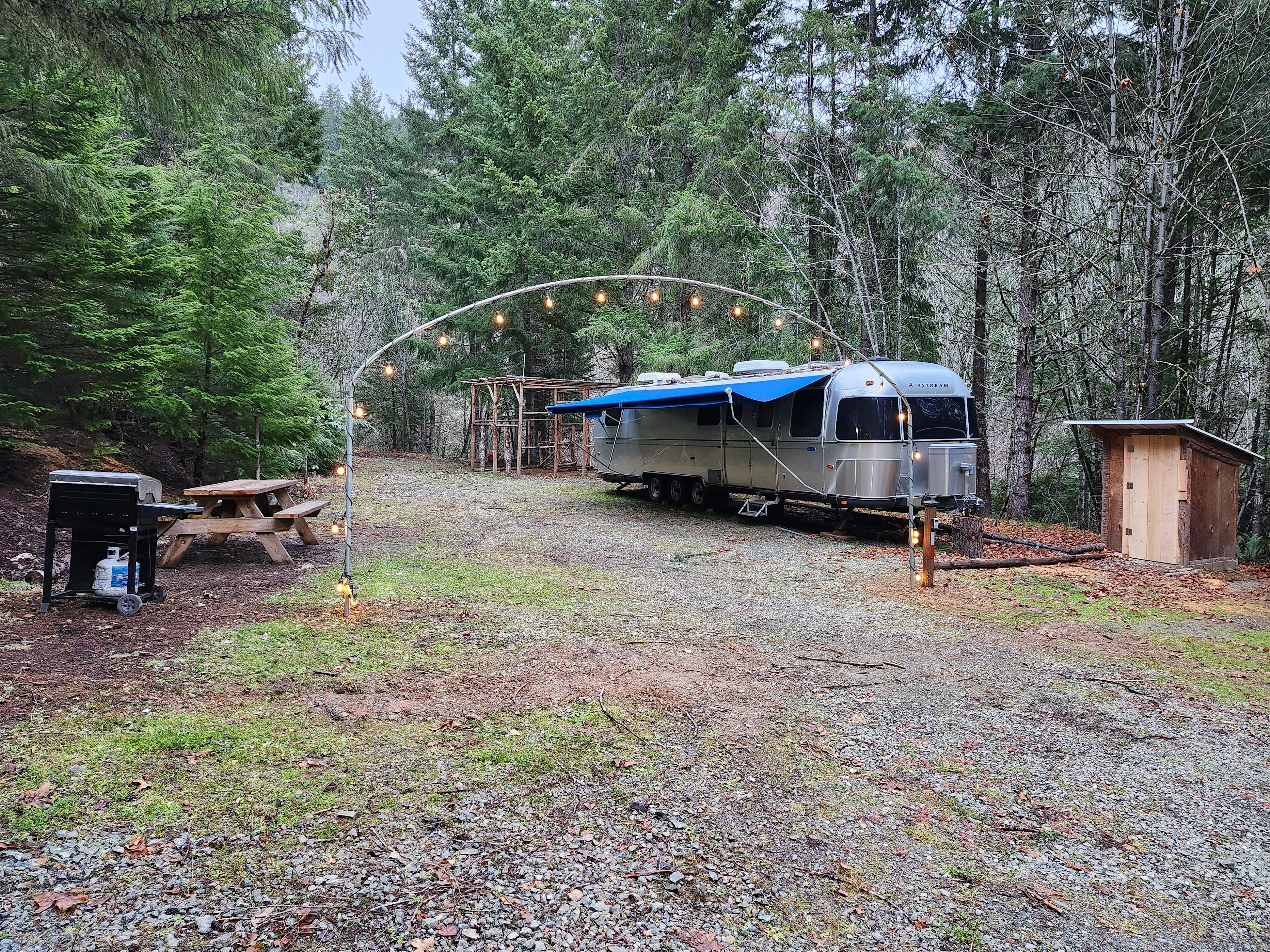 Creekside Waterfront In The Forest