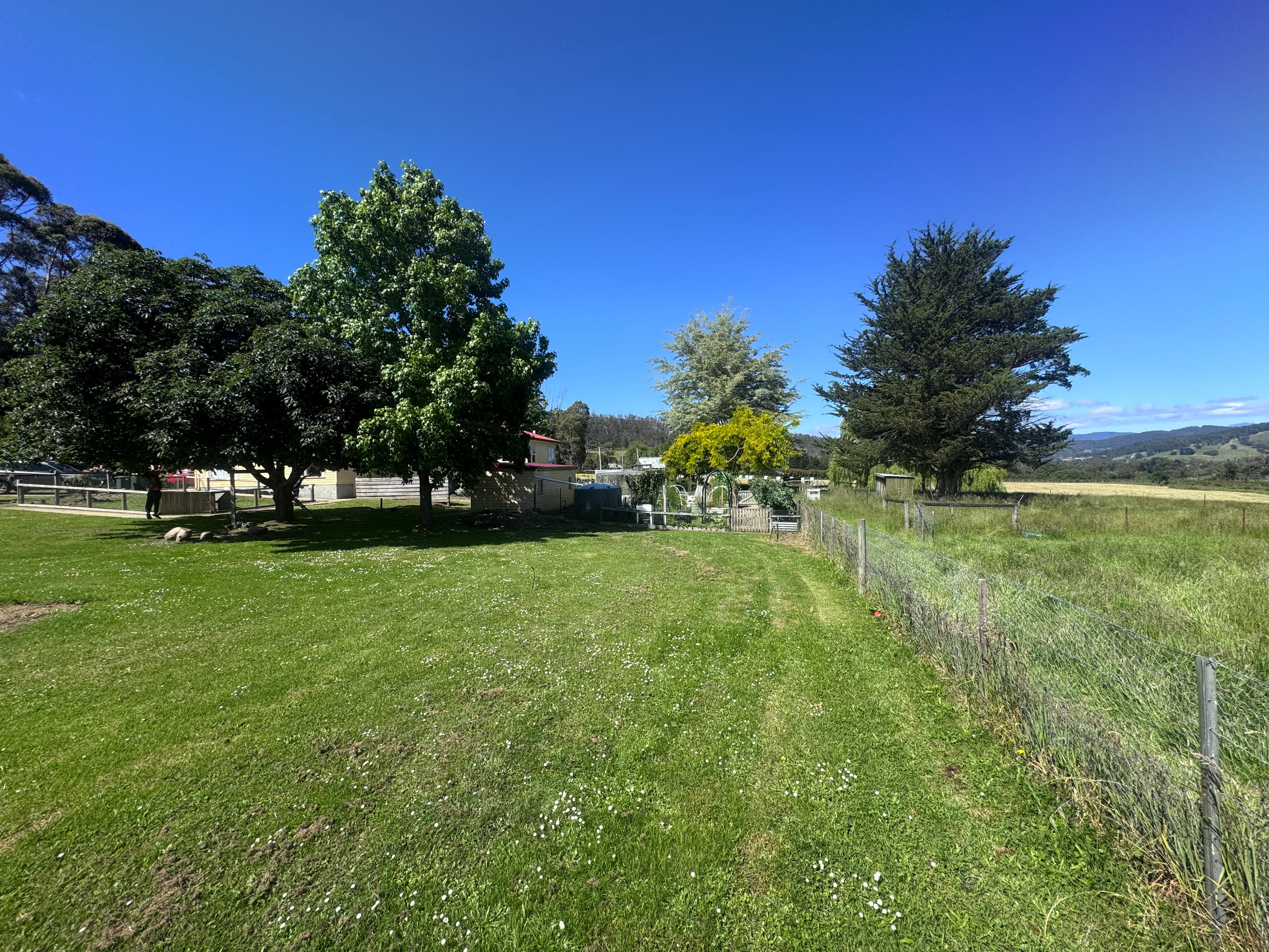 Misty mountain homestead