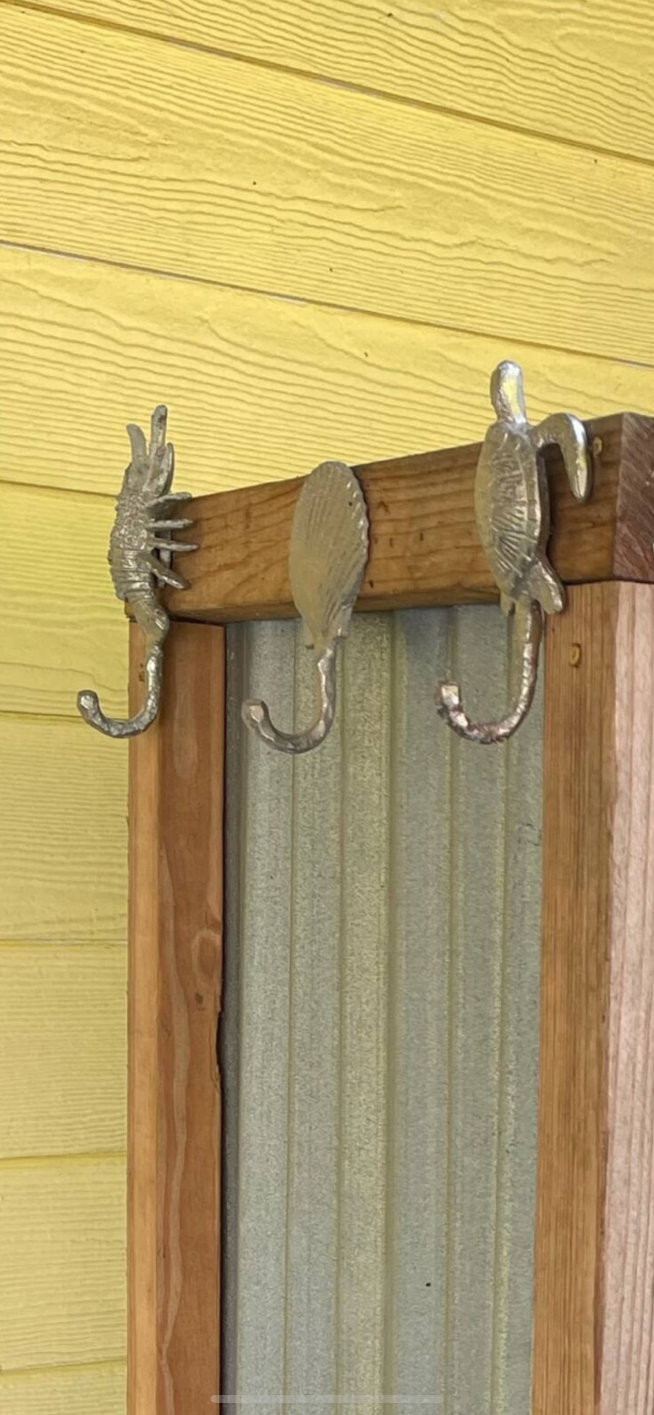 Country Camping At The Beach