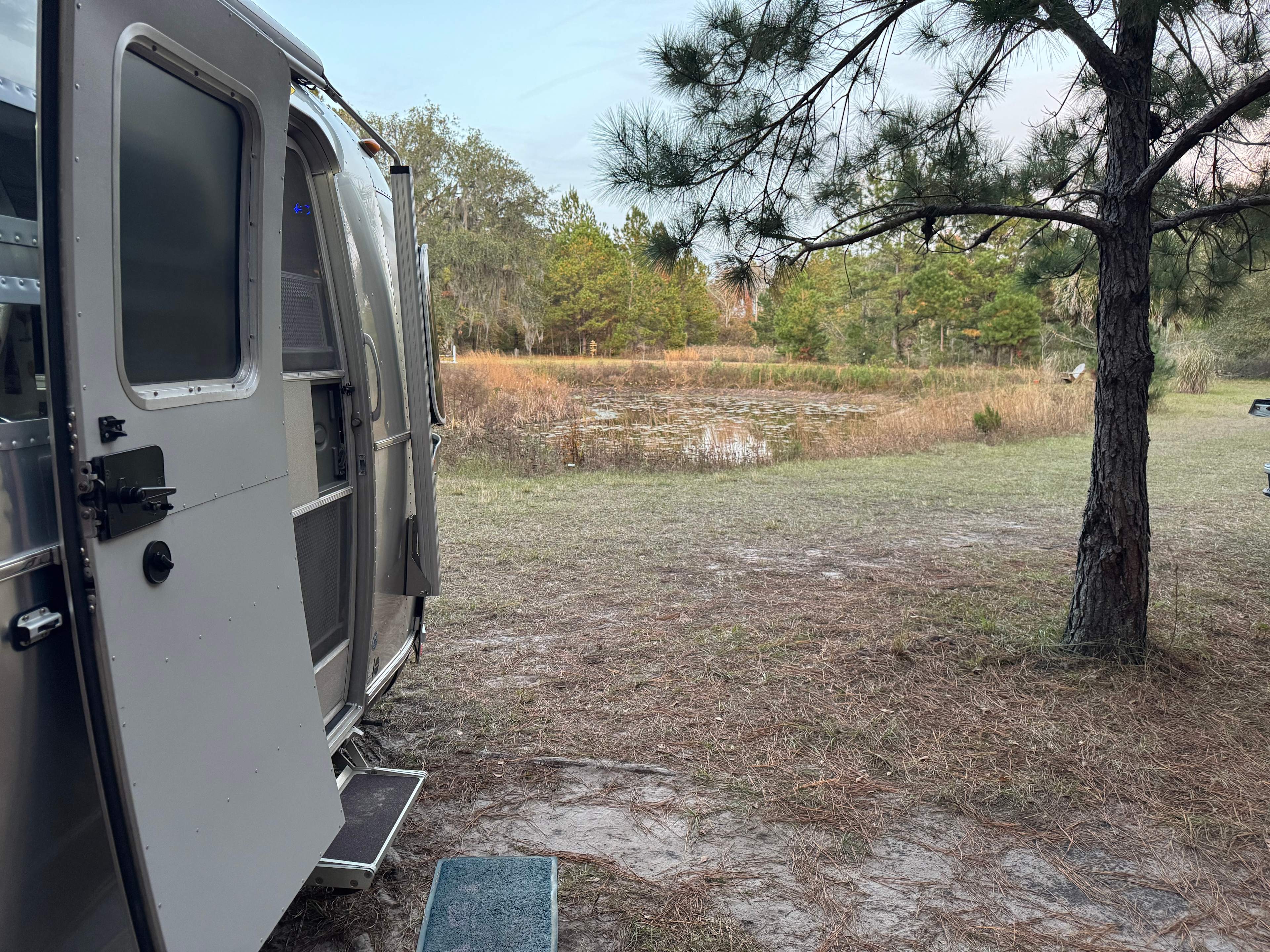 Wildflower Pond and Woodlands