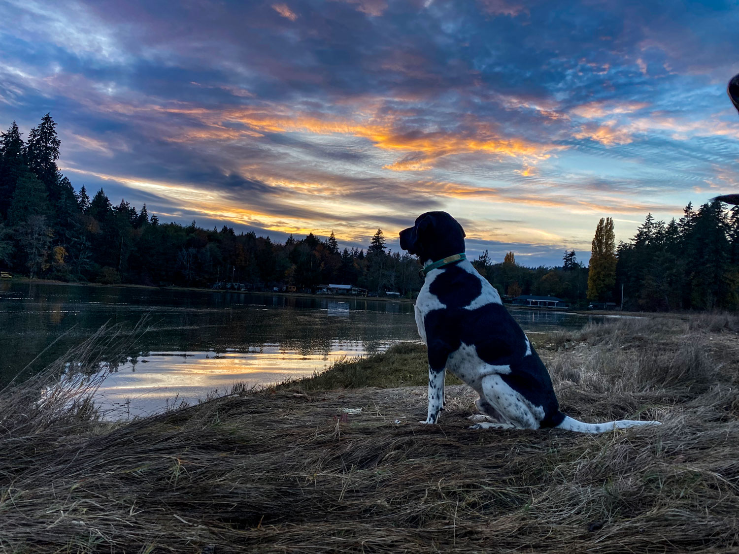 Octovus Waterfront Paradise