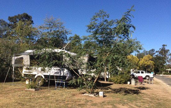 Monto Caravan and Cabin Park