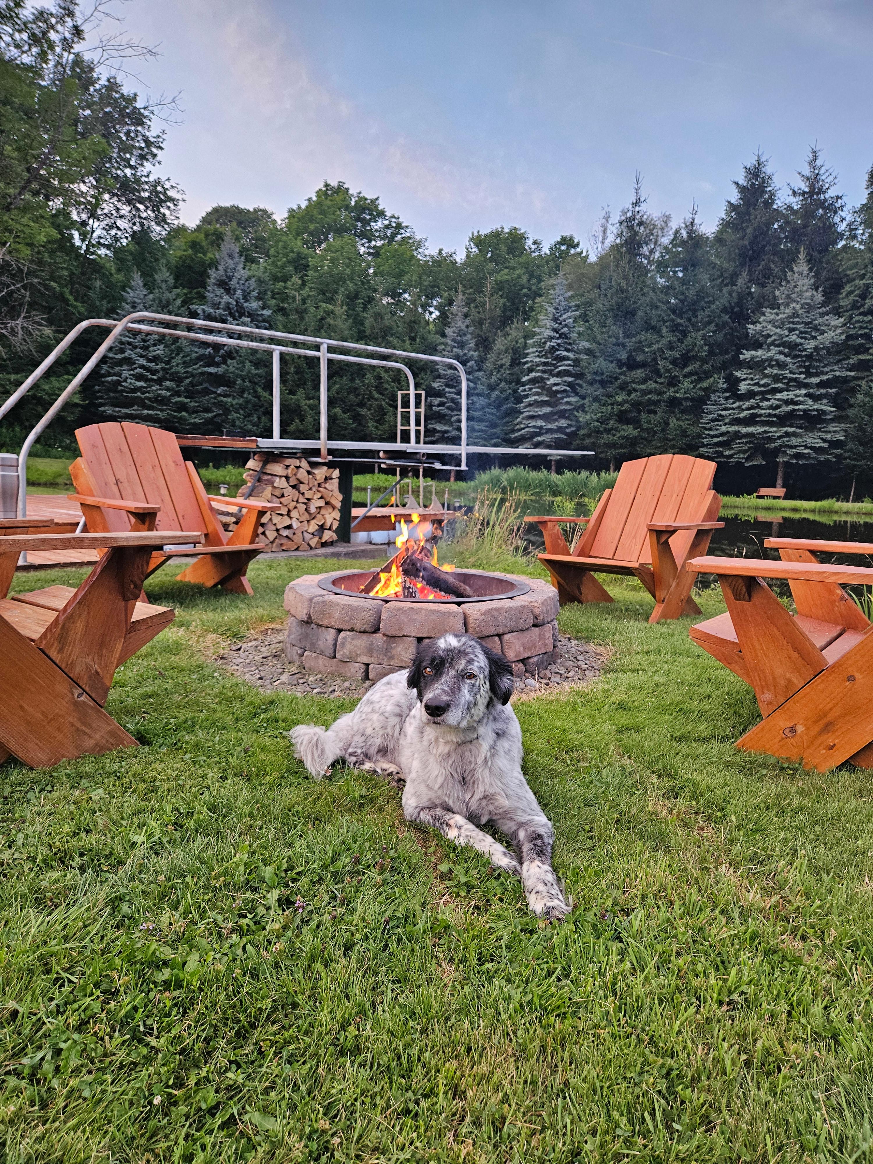 Brook Hollow Homestead