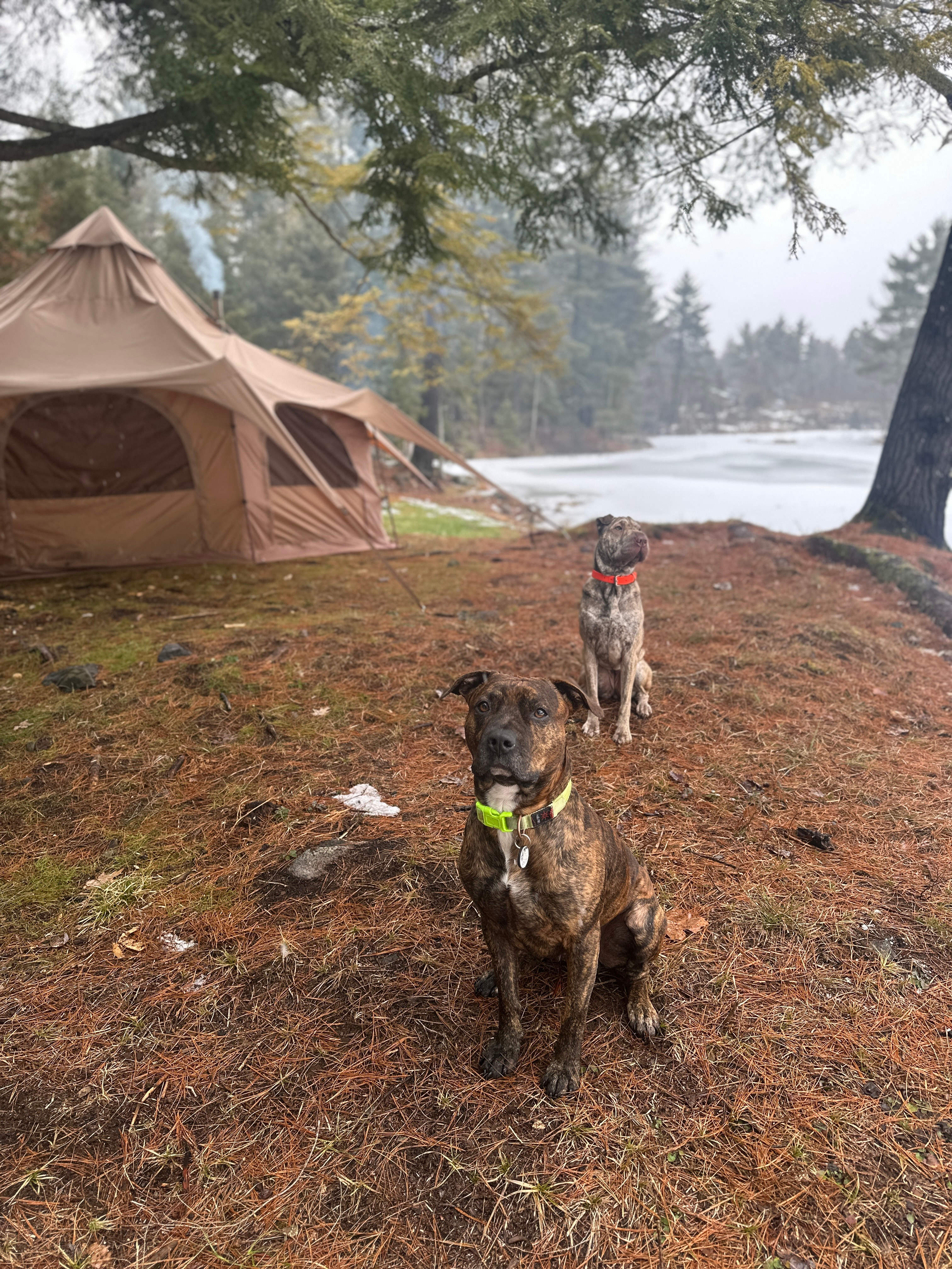 Hemlock Point Campground