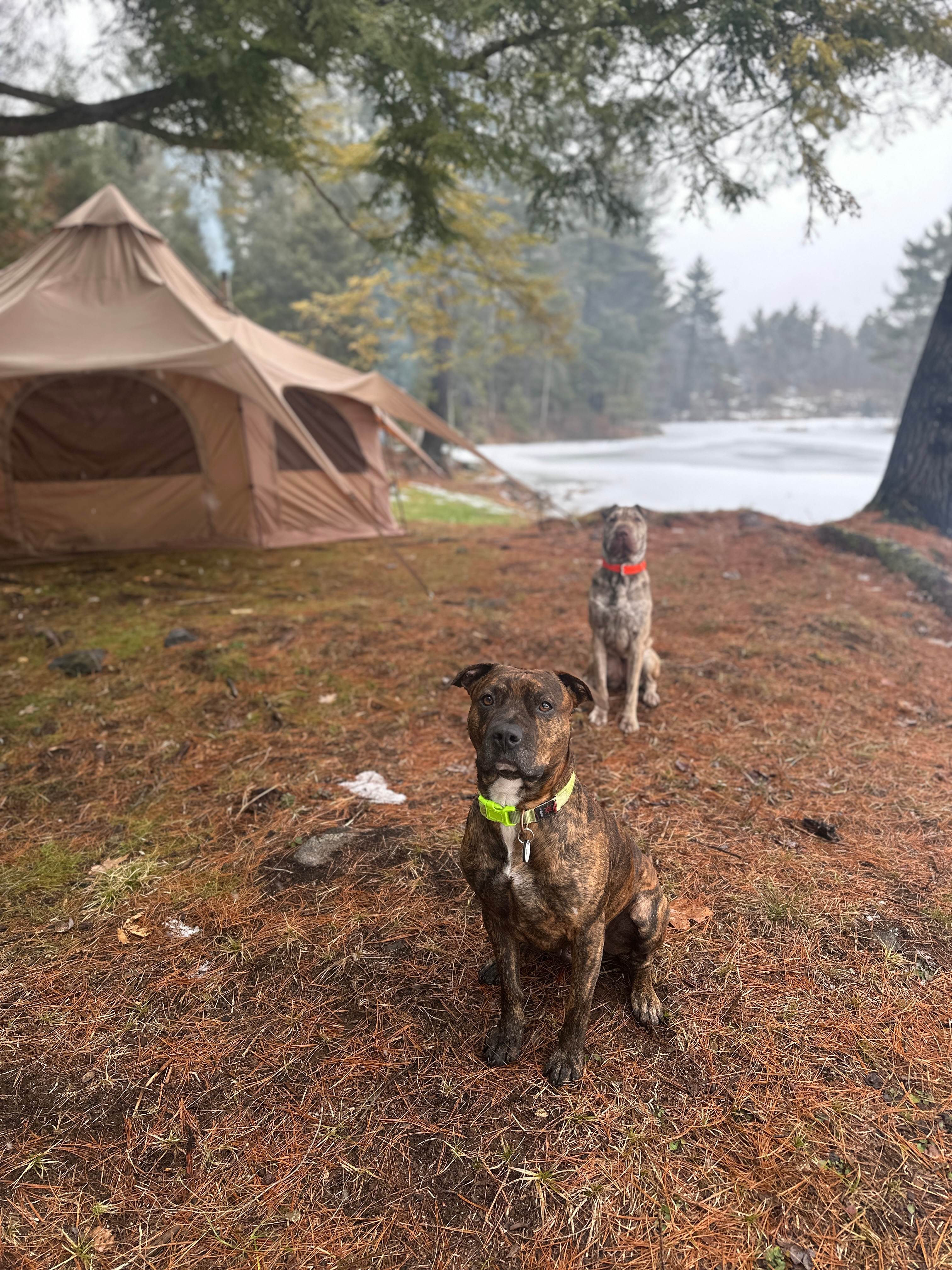 Hemlock Point Campground