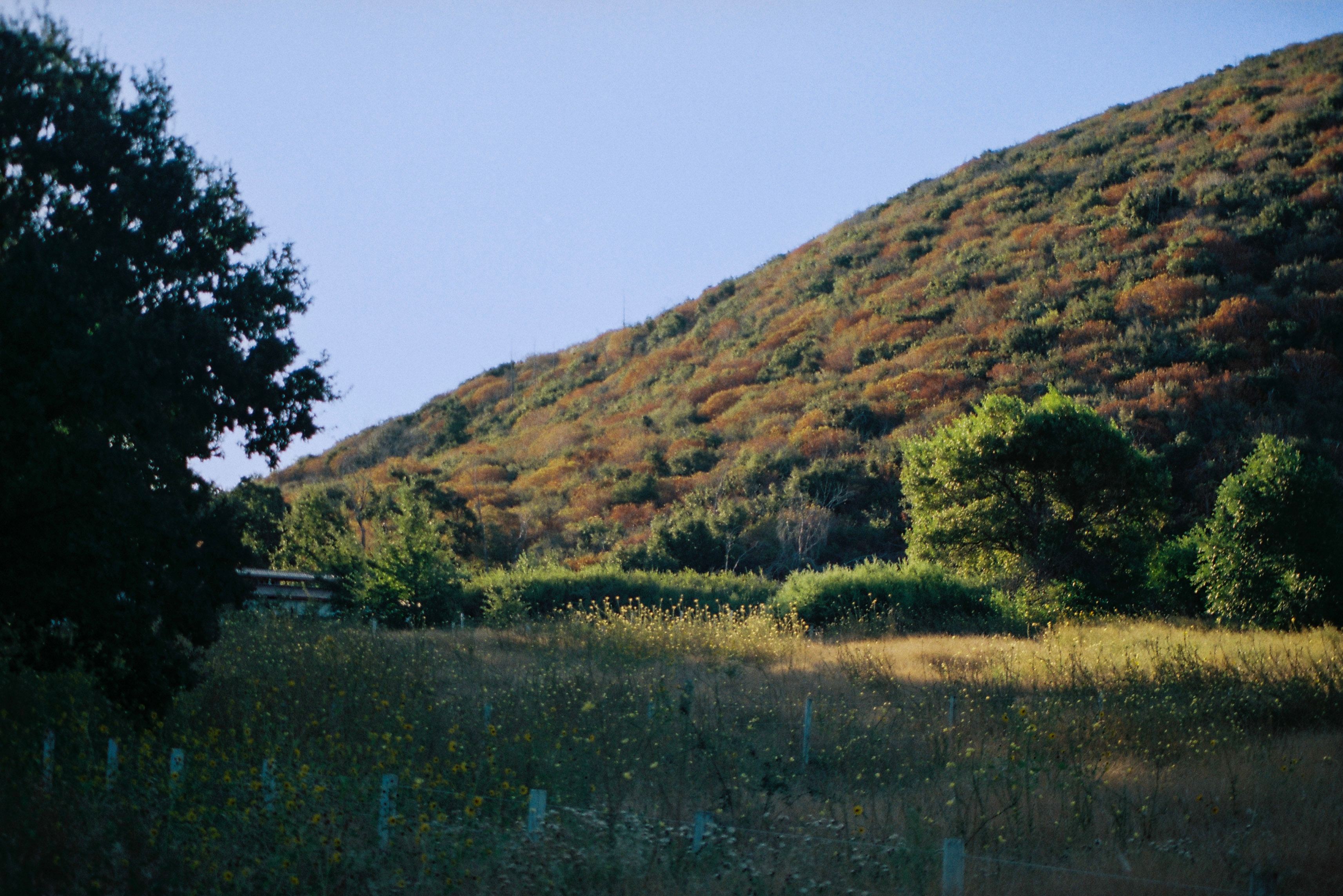 The Hideout - 100+ Acres Oak Trees