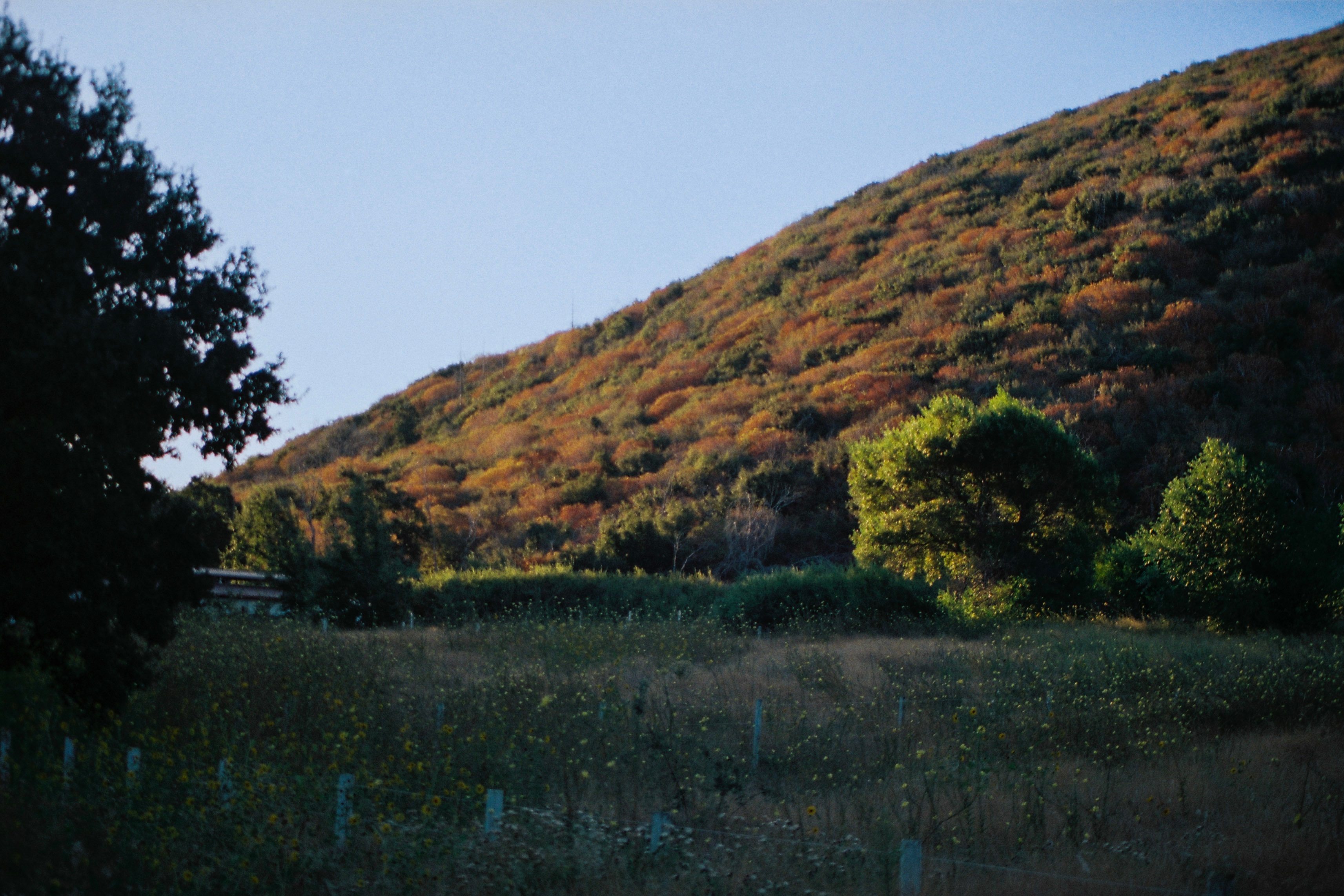 The Hideout - 100+ Acres Oak Trees