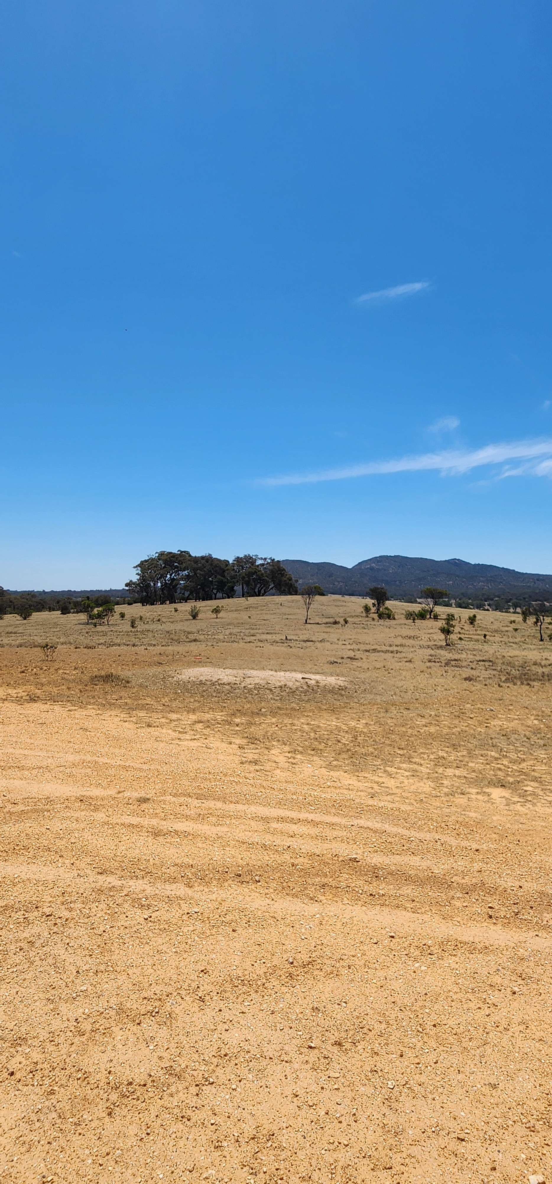 Mirela's Gypsy Camping