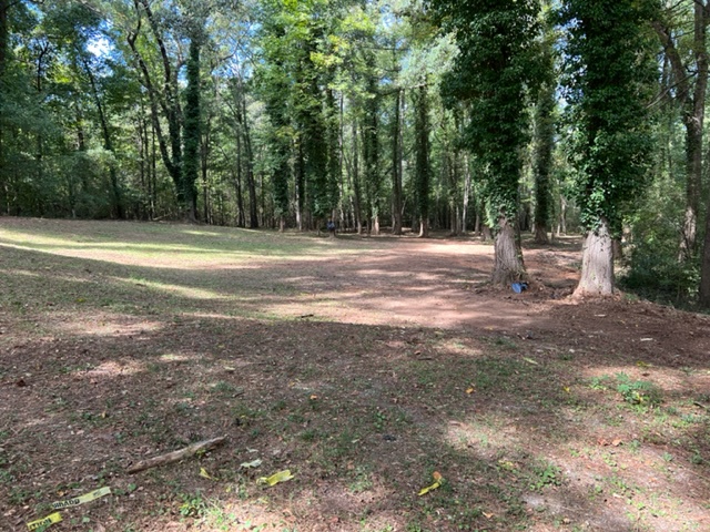 Freeman Fireside Camp