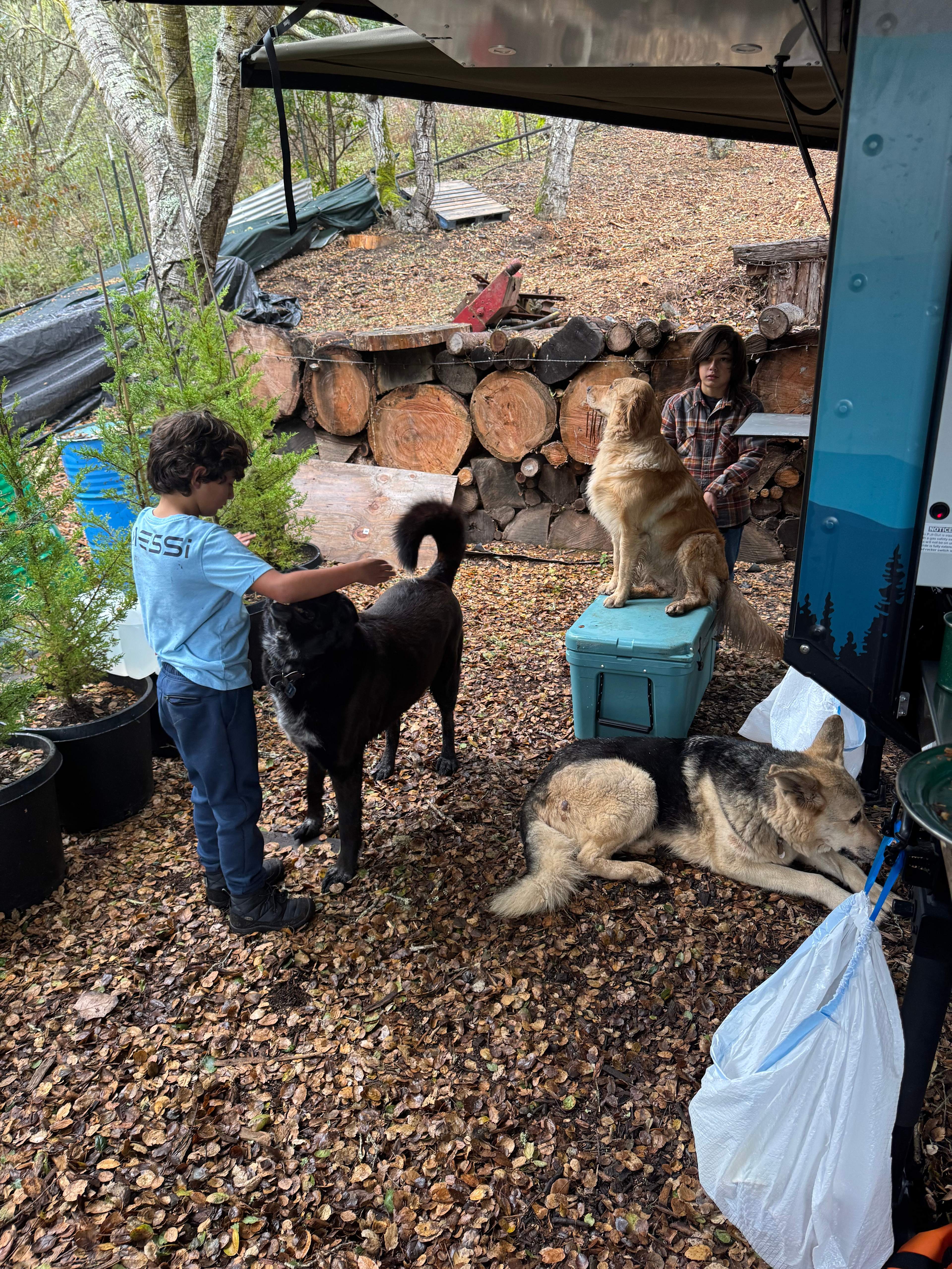 The Secret Gardens by the Bay
