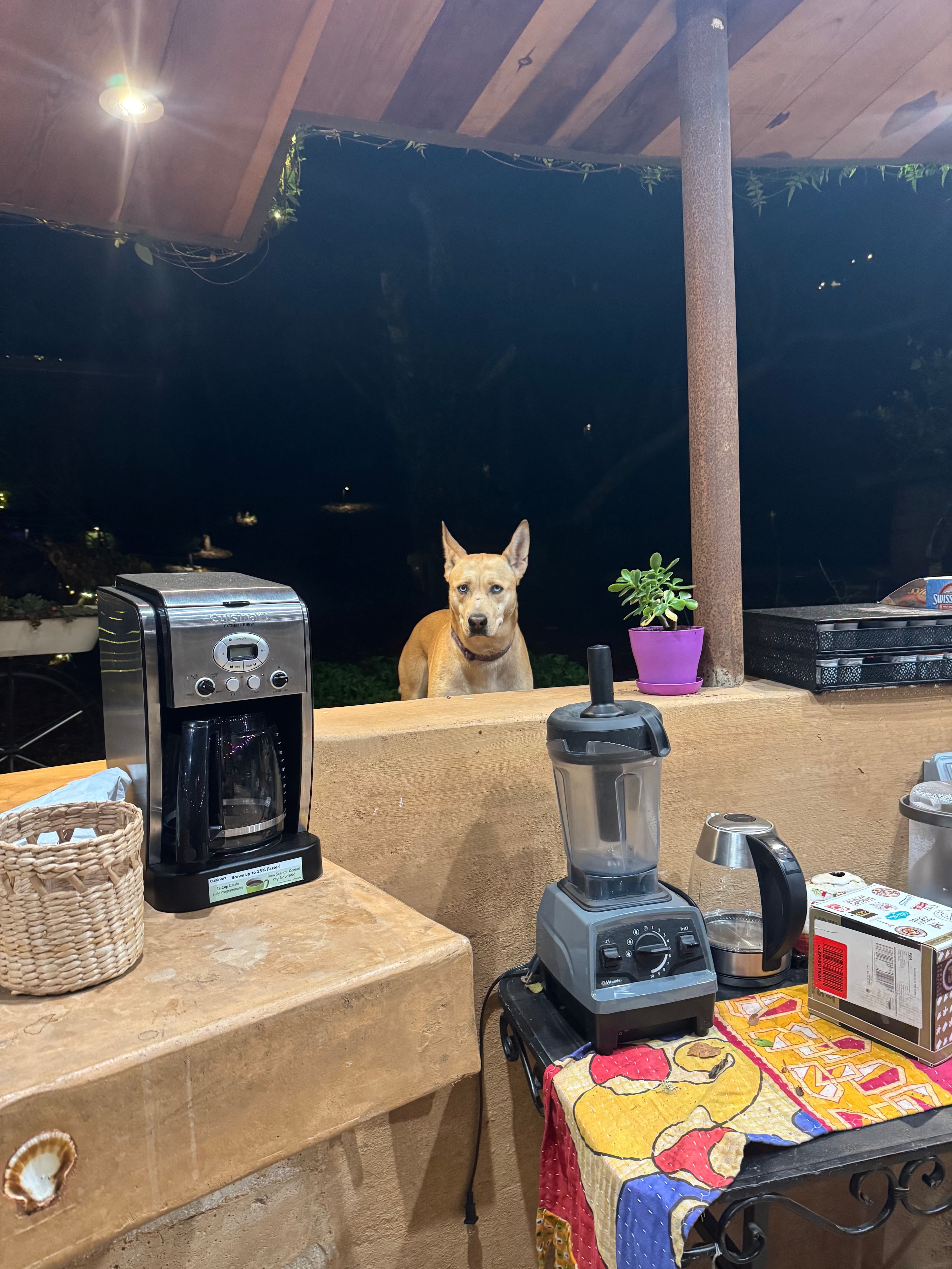The Secret Gardens by the Bay