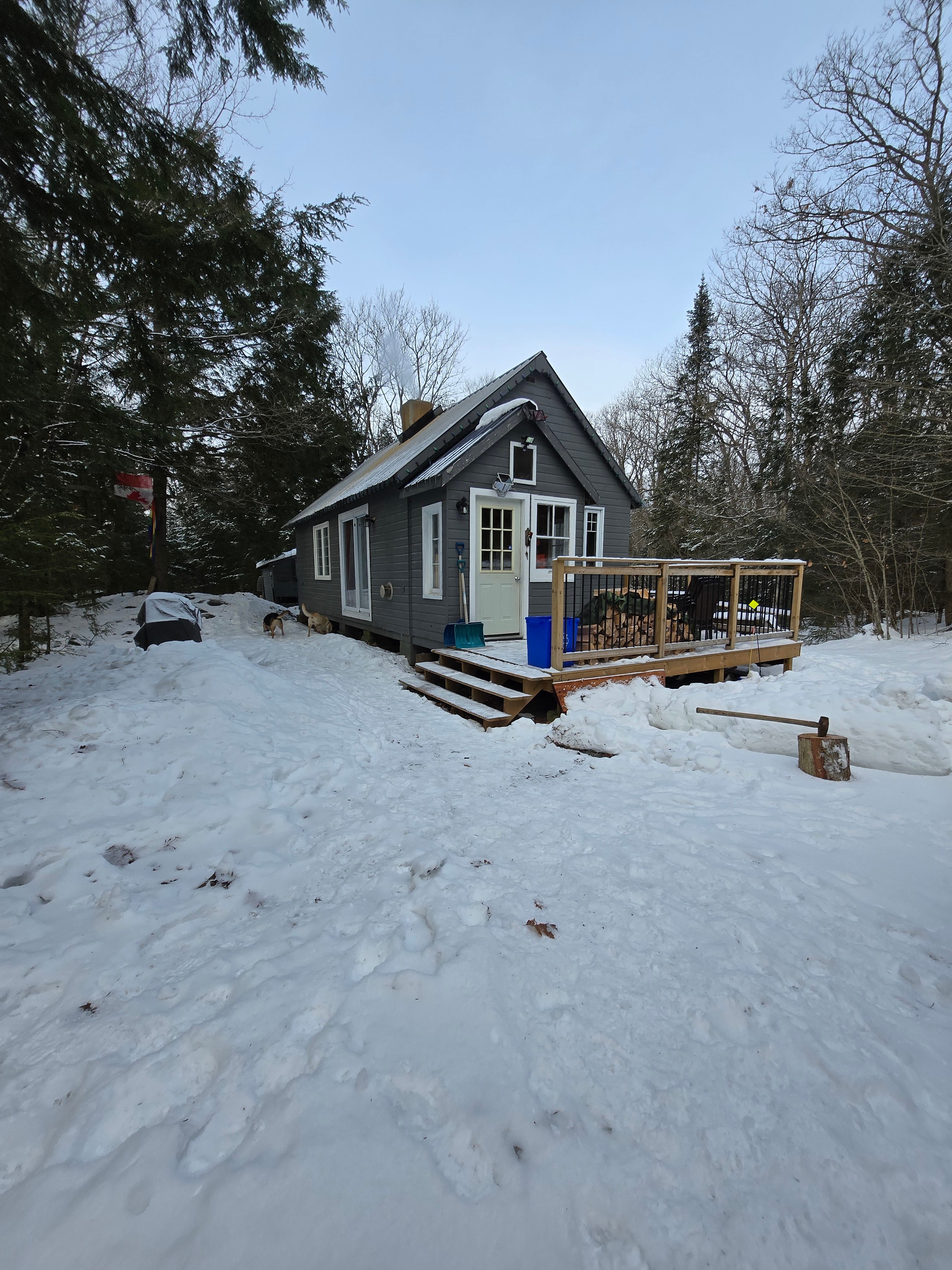 Off the Grid Camp - Oasis Cabin