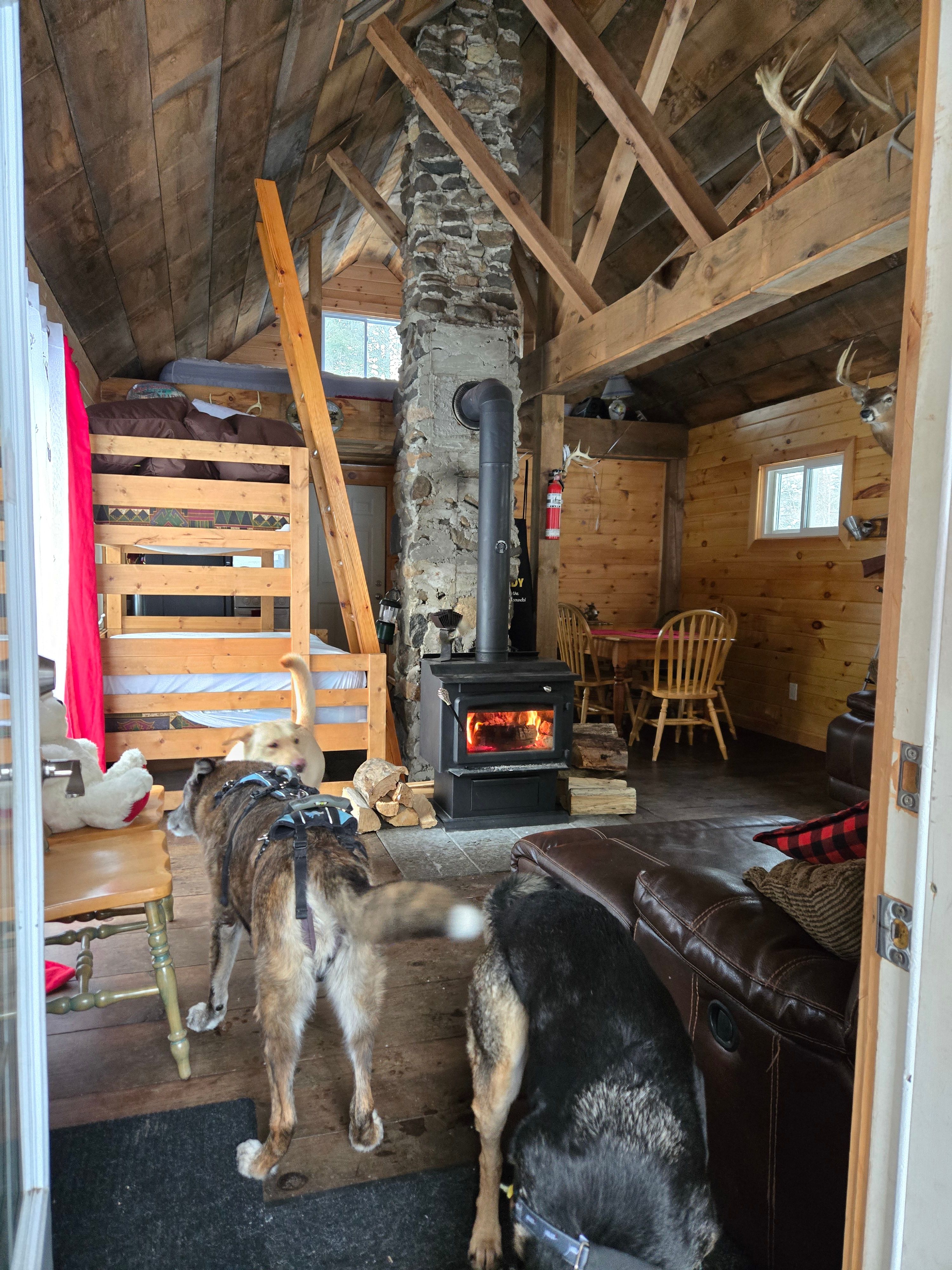 Off the Grid Camp - Oasis Cabin