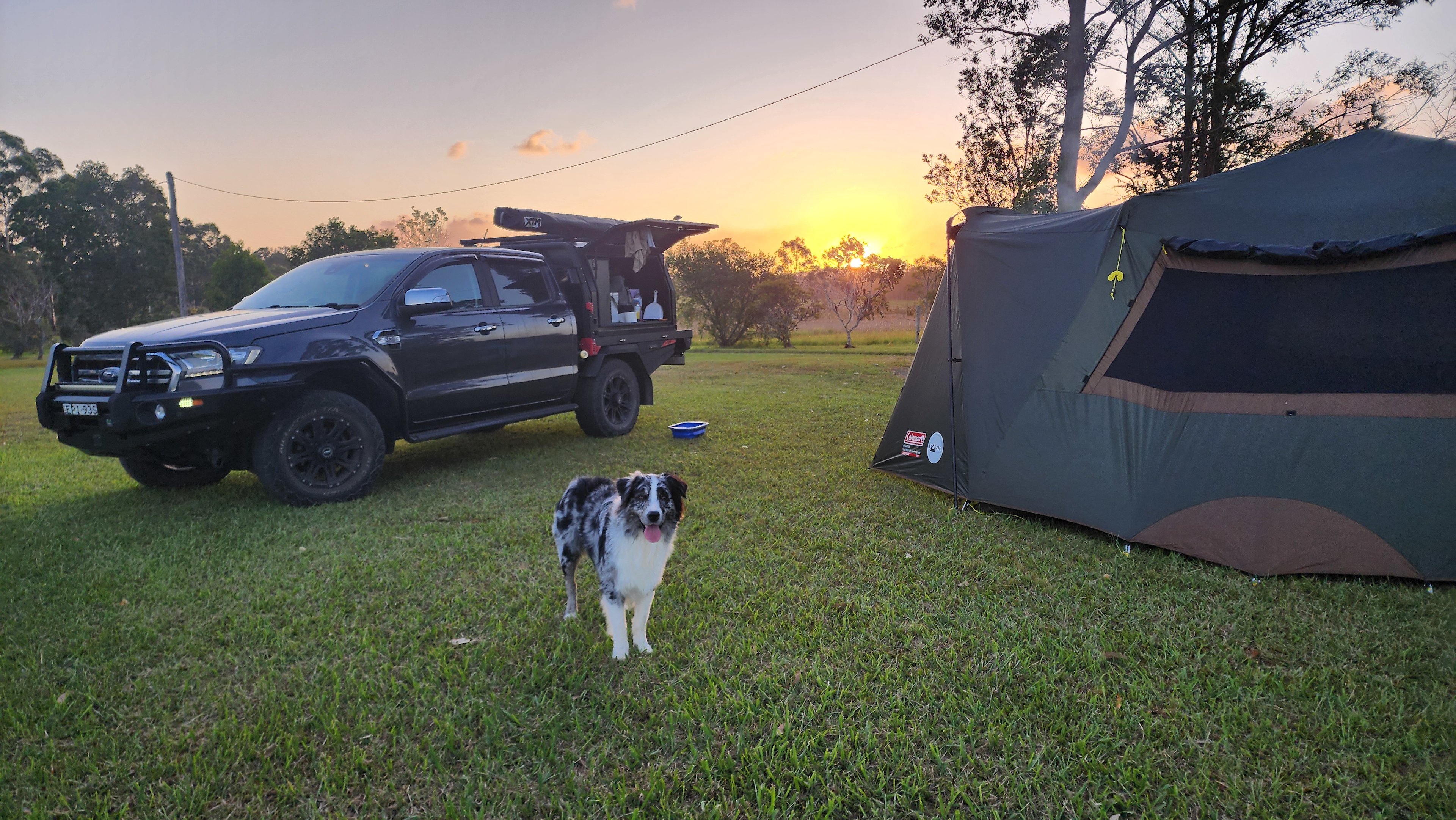 Camp Topi Power 5G Dogs