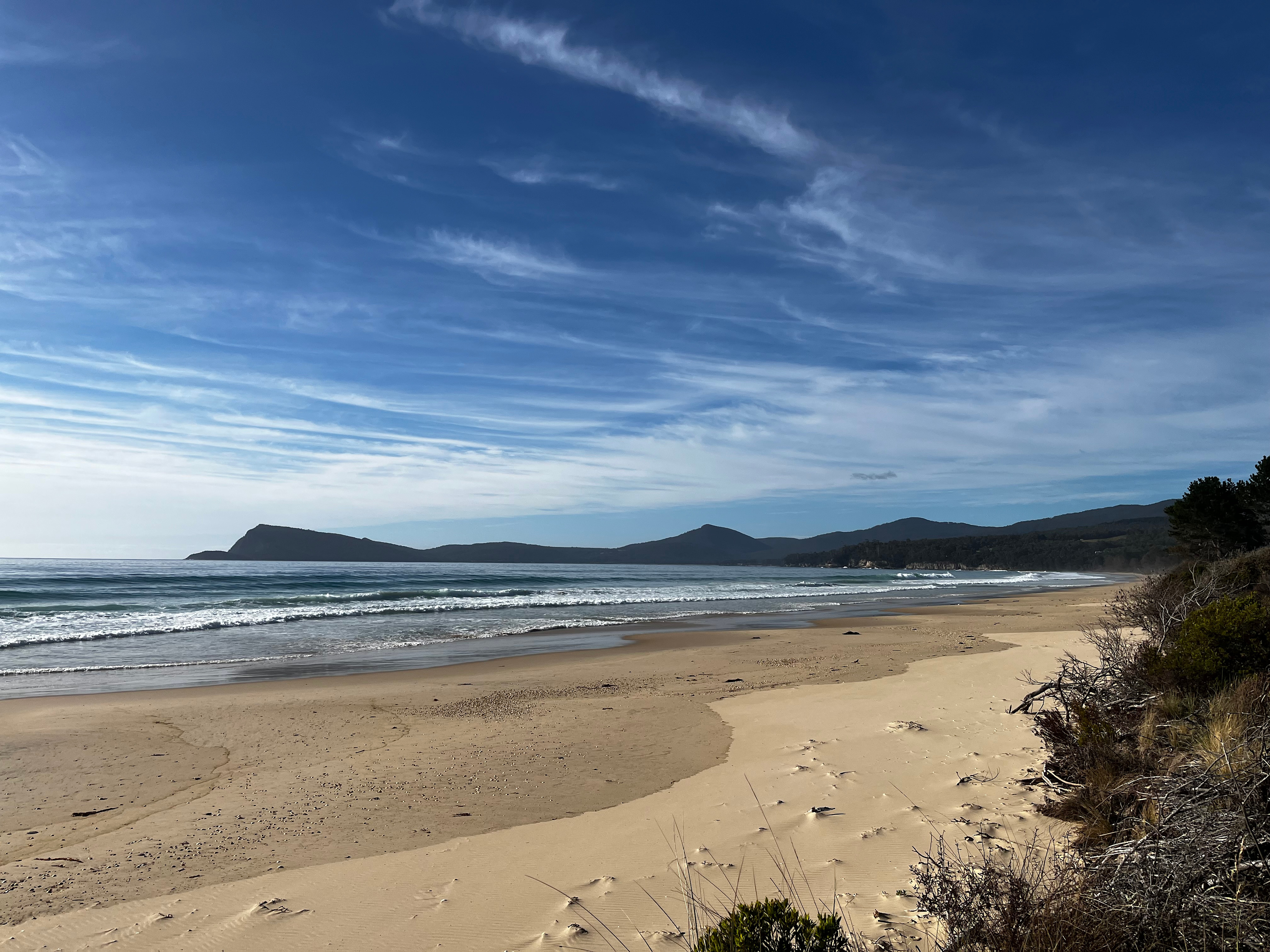 Bruny Island Long Neck