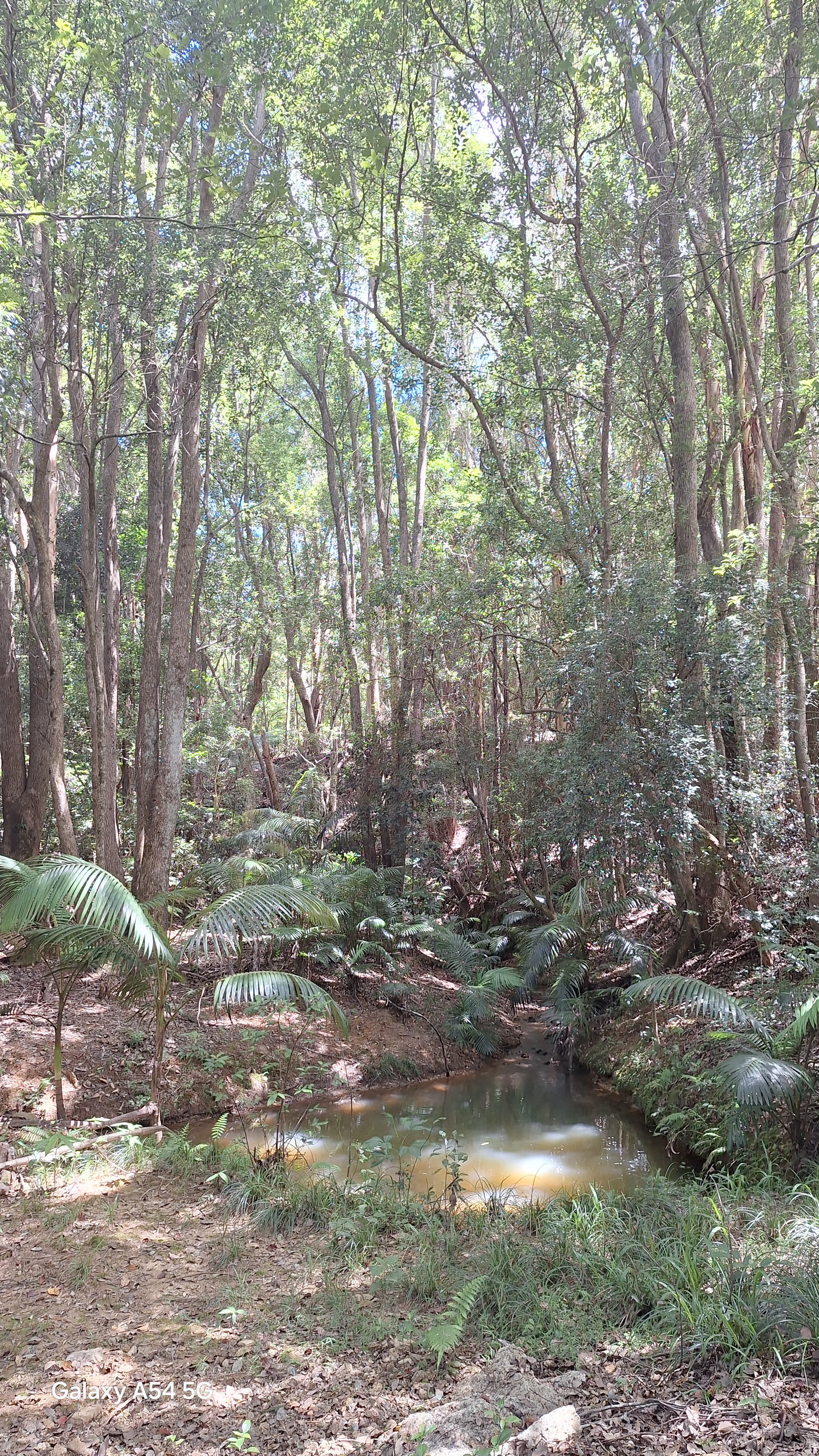 Burringbar Camping - The Haven