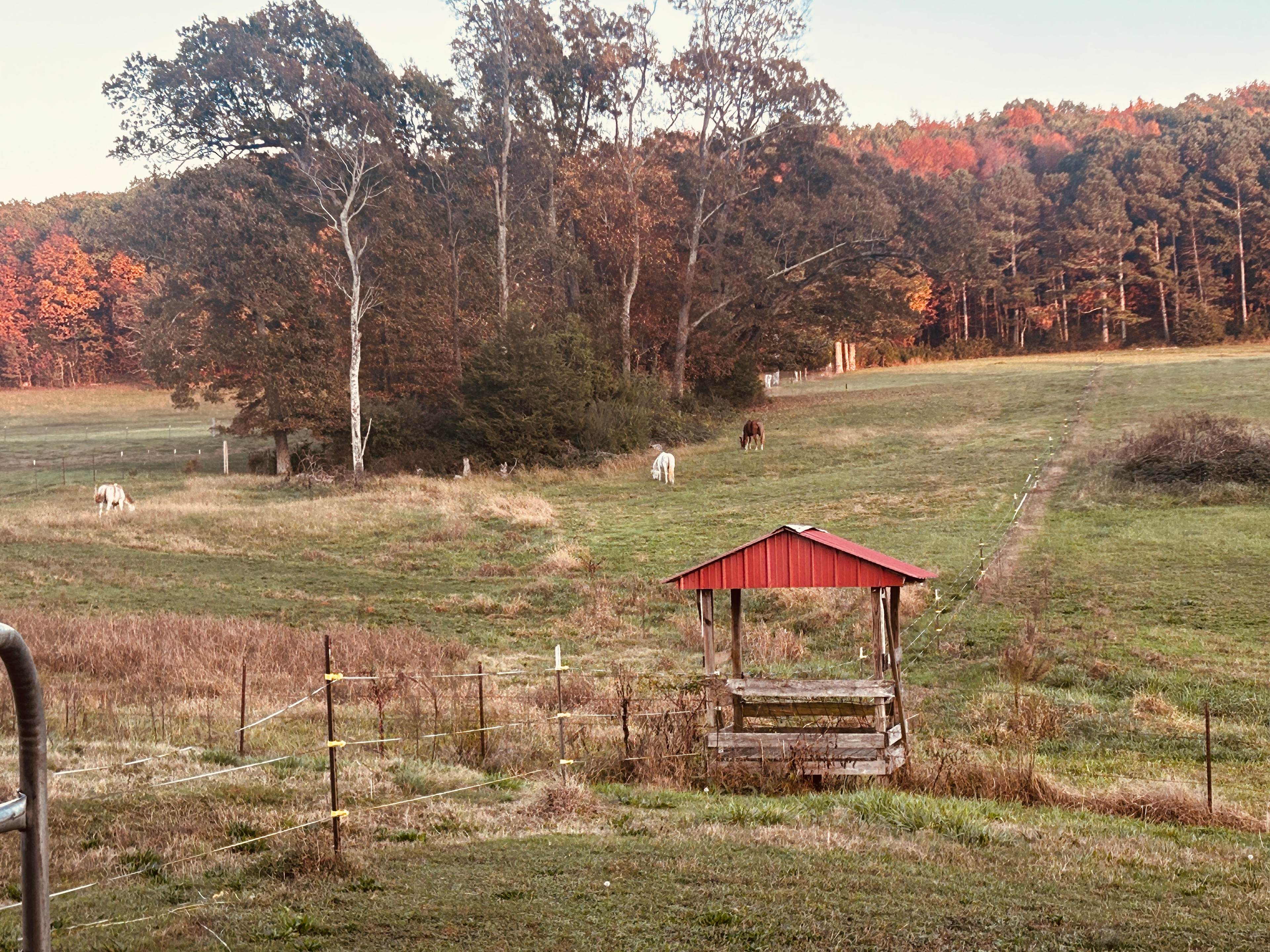 The Tall Farm RV Hookup
