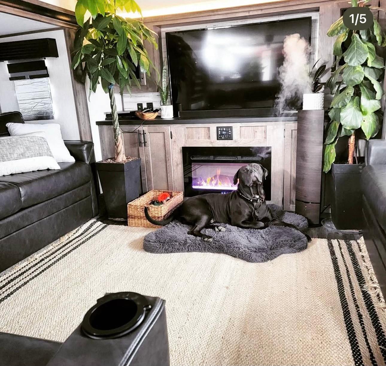 San Diego RV Wellness Retreat