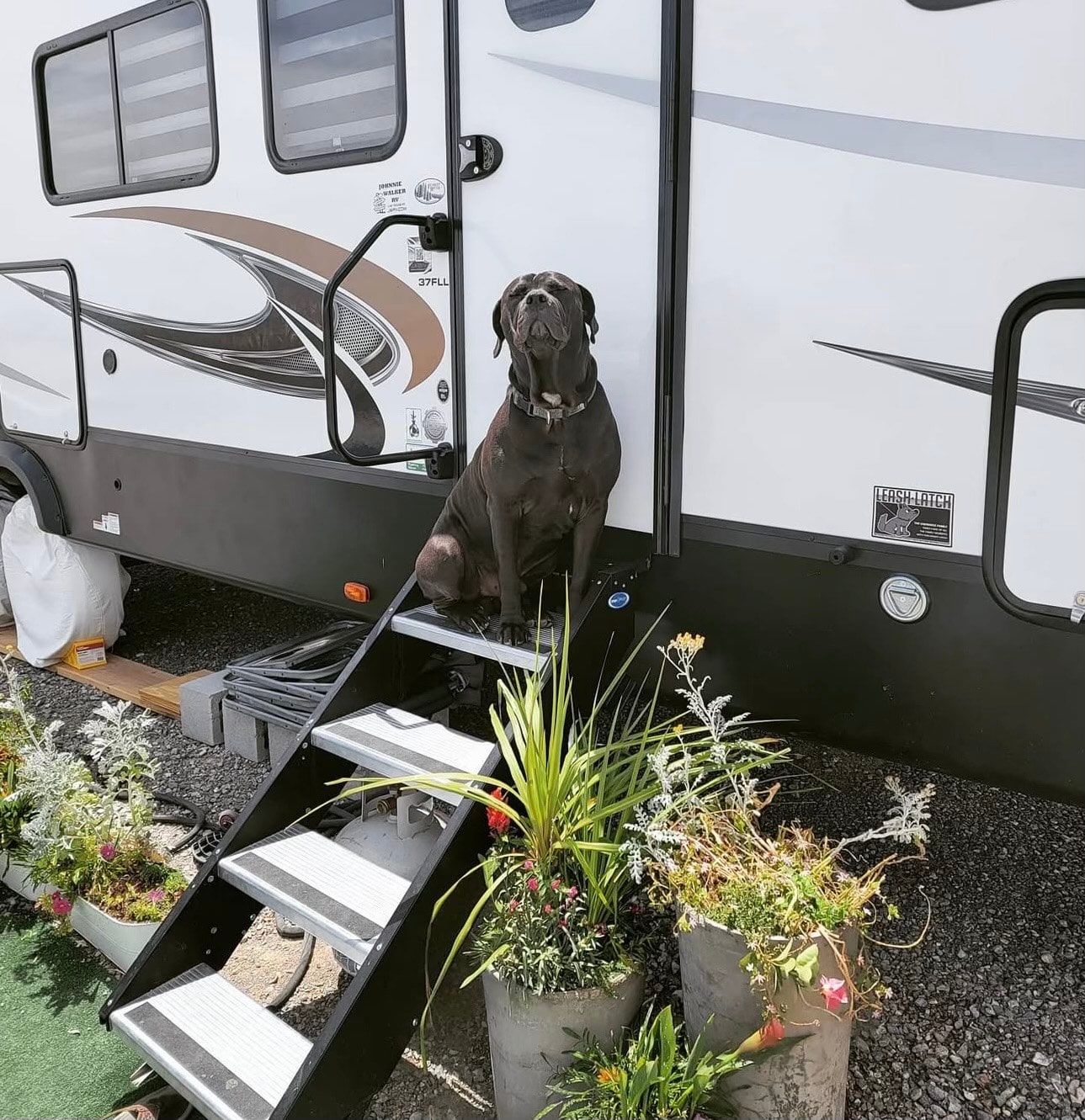 San Diego RV Wellness Retreat